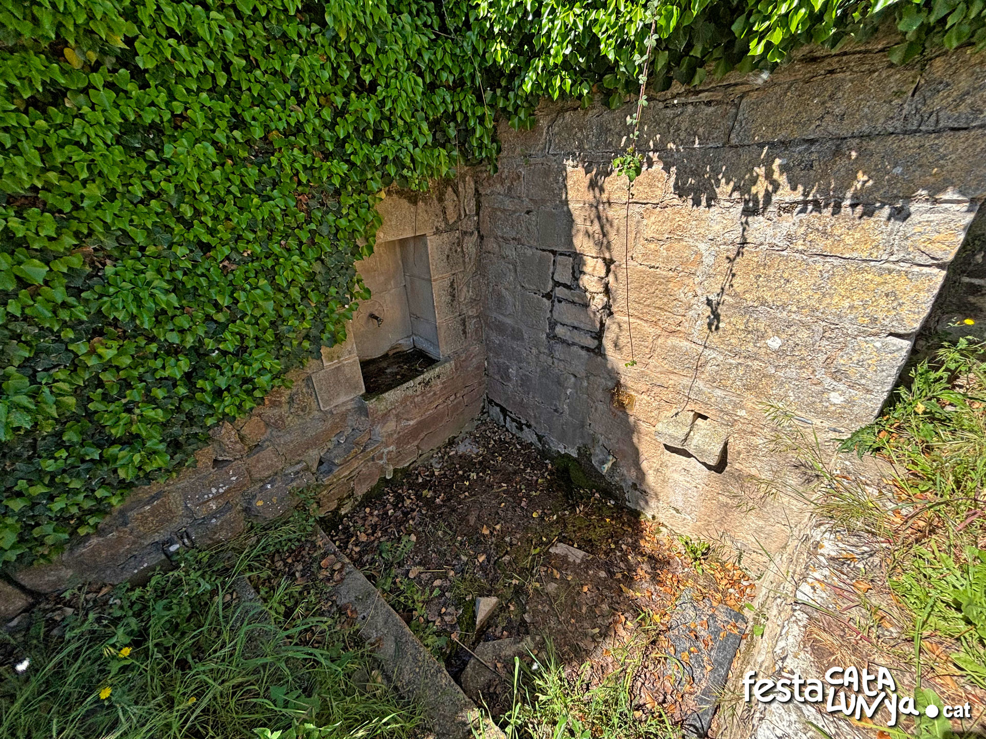 Les Piles - Fonts i brolladors, remor d'aigua (Font de les Piles)