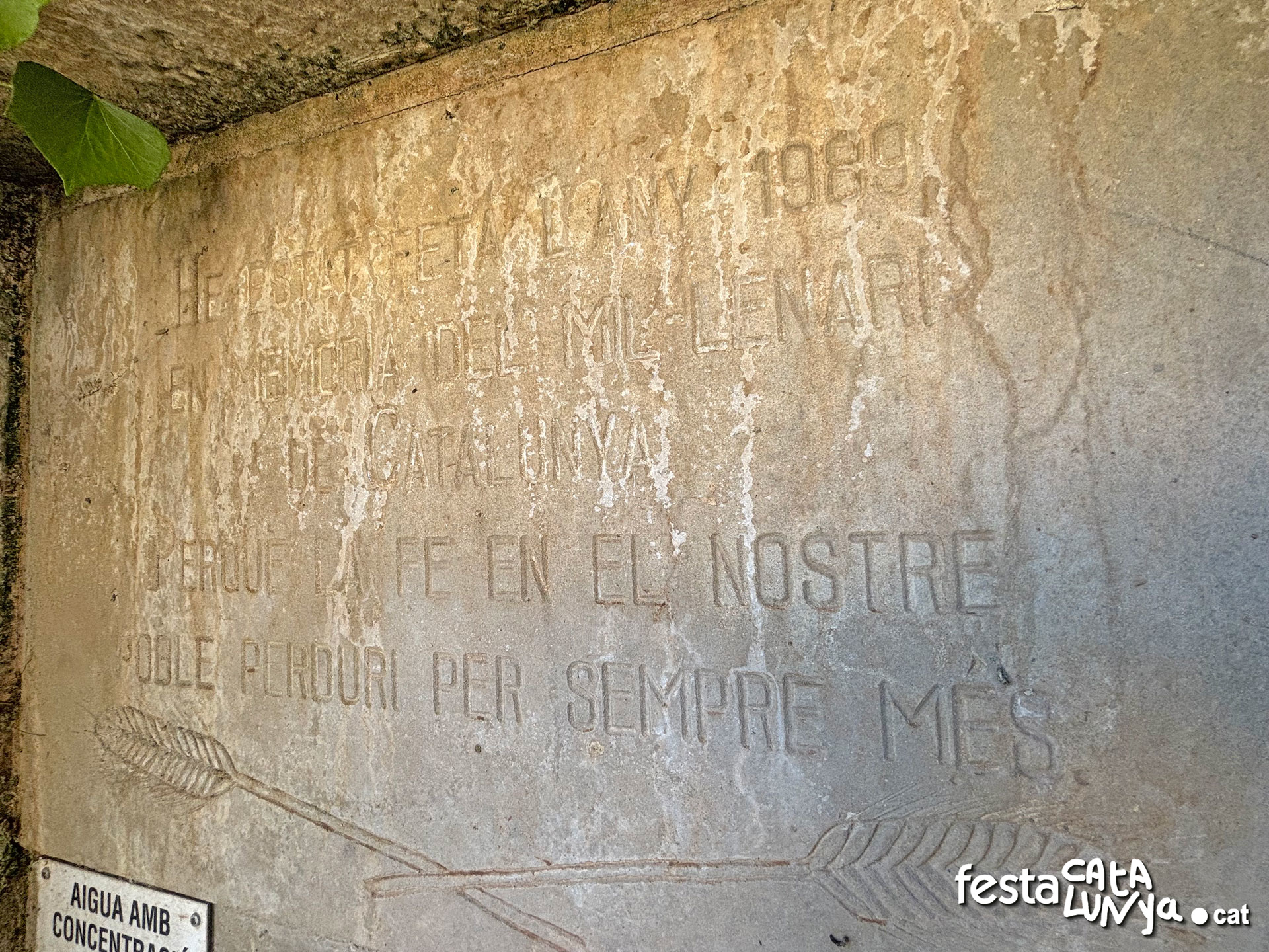 Les Piles - Fonts i brolladors, remor d'aigua (Font de les Piles)