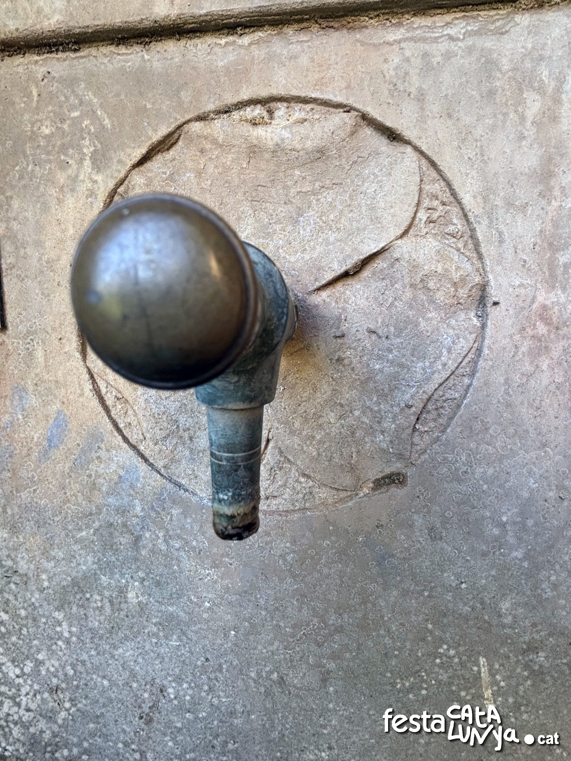 Les Piles - Fonts i brolladors, remor d'aigua (Font de les Piles)