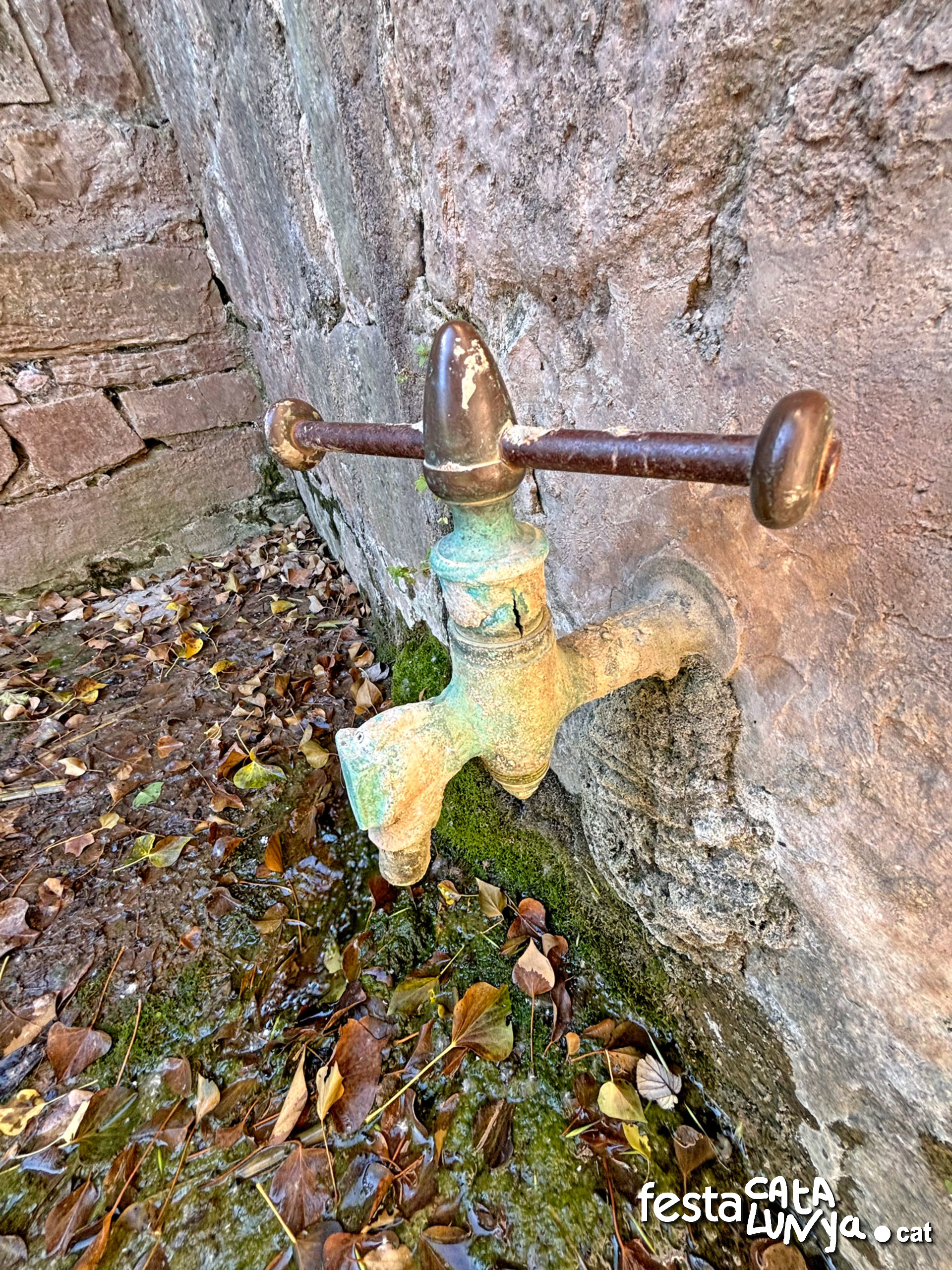 Les Piles - Fonts i brolladors, remor d'aigua (Font de les Piles)