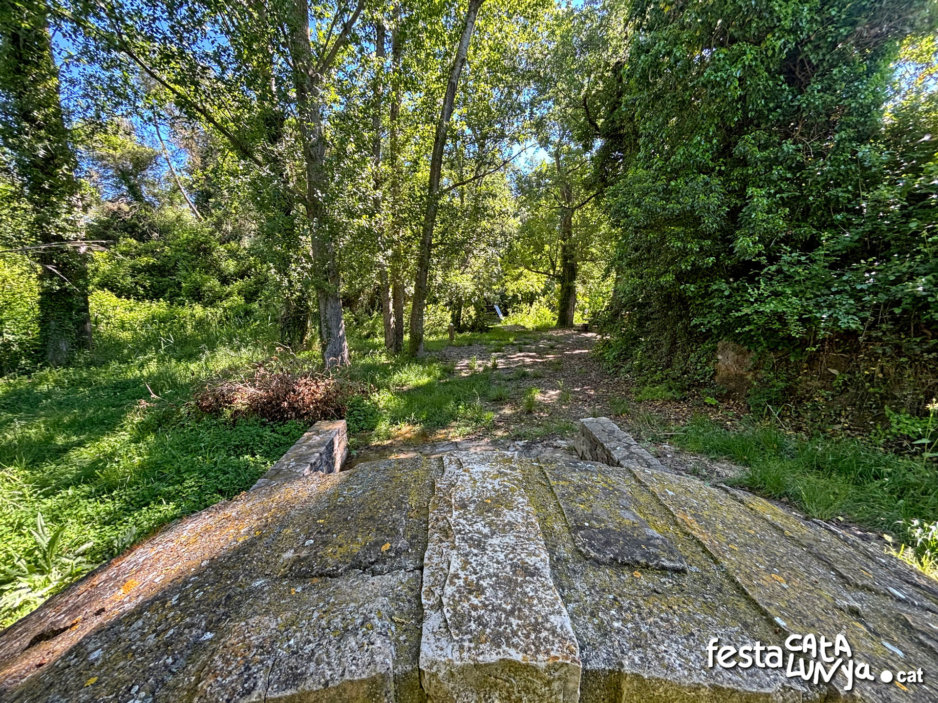 Les Piles  - Fonts i brolladors, remor d'aigua (Font de Llorach)