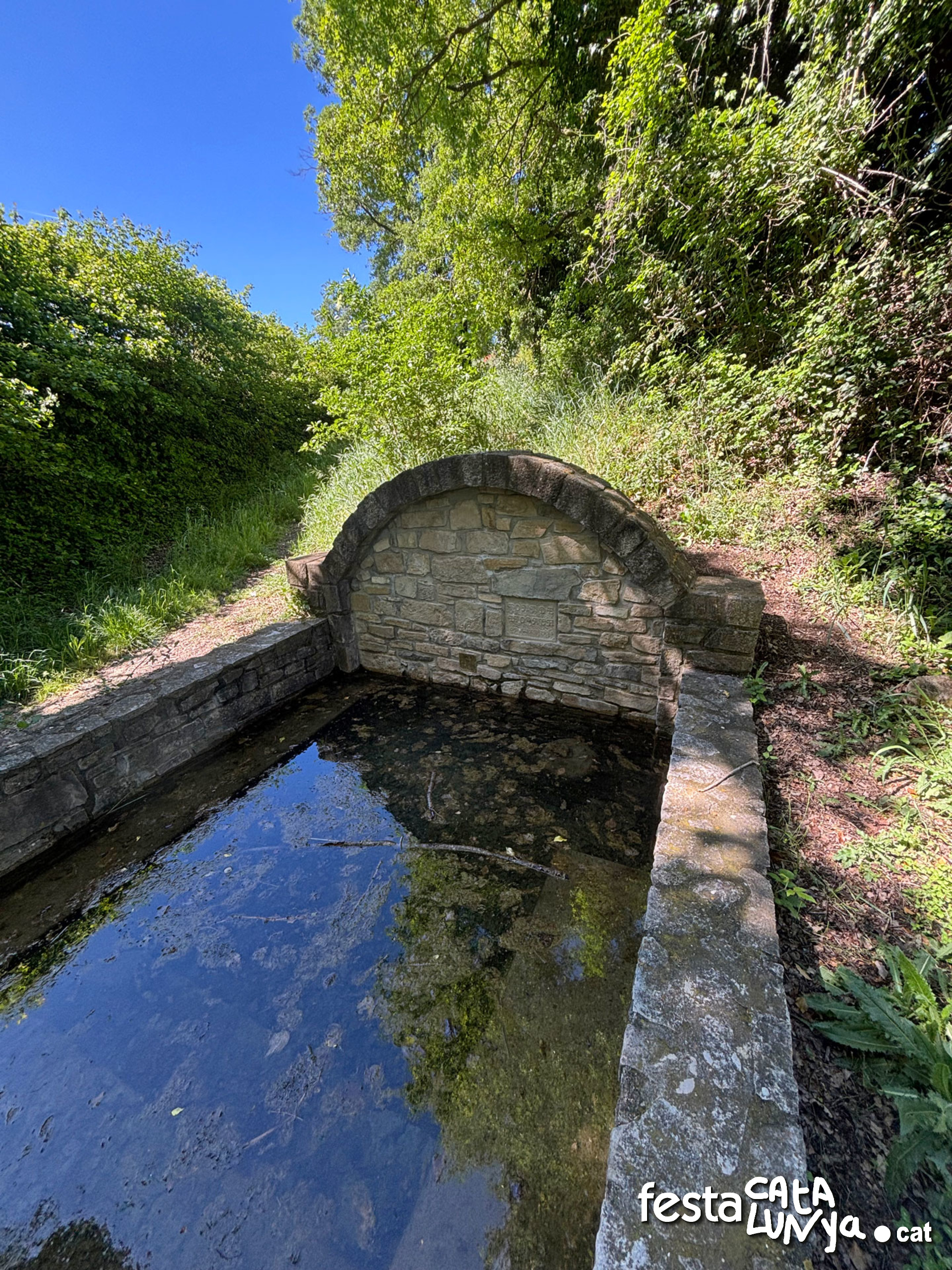 Les Piles  - Fonts i brolladors, remor d'aigua (Font de Llorach)