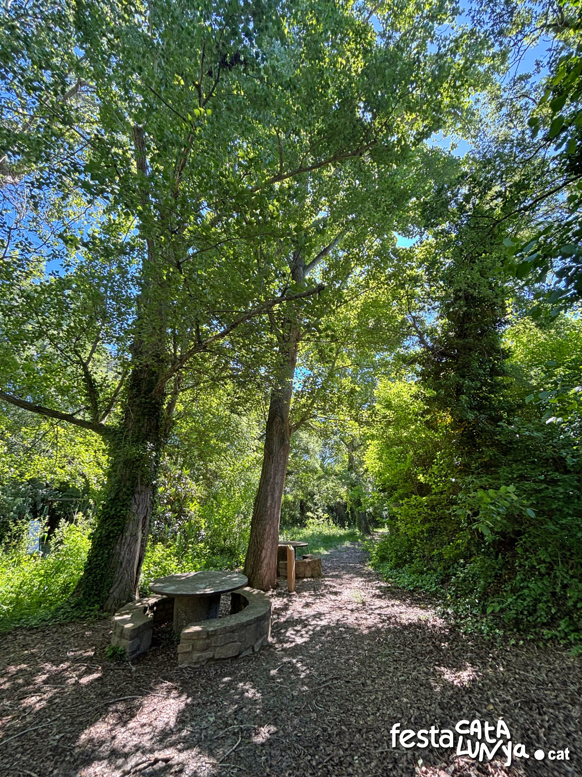 Les Piles  - Fonts i brolladors, remor d'aigua (Font de Llorach)