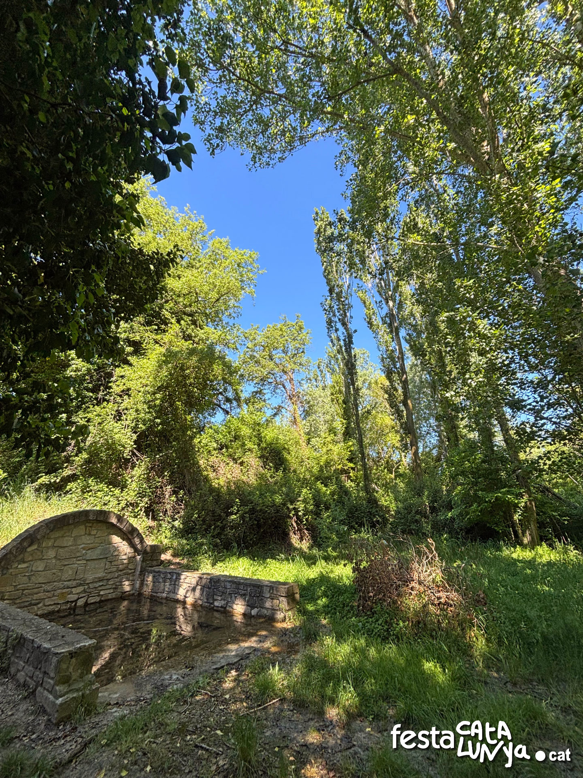 Les Piles  - Fonts i brolladors, remor d'aigua (Font de Llorach)