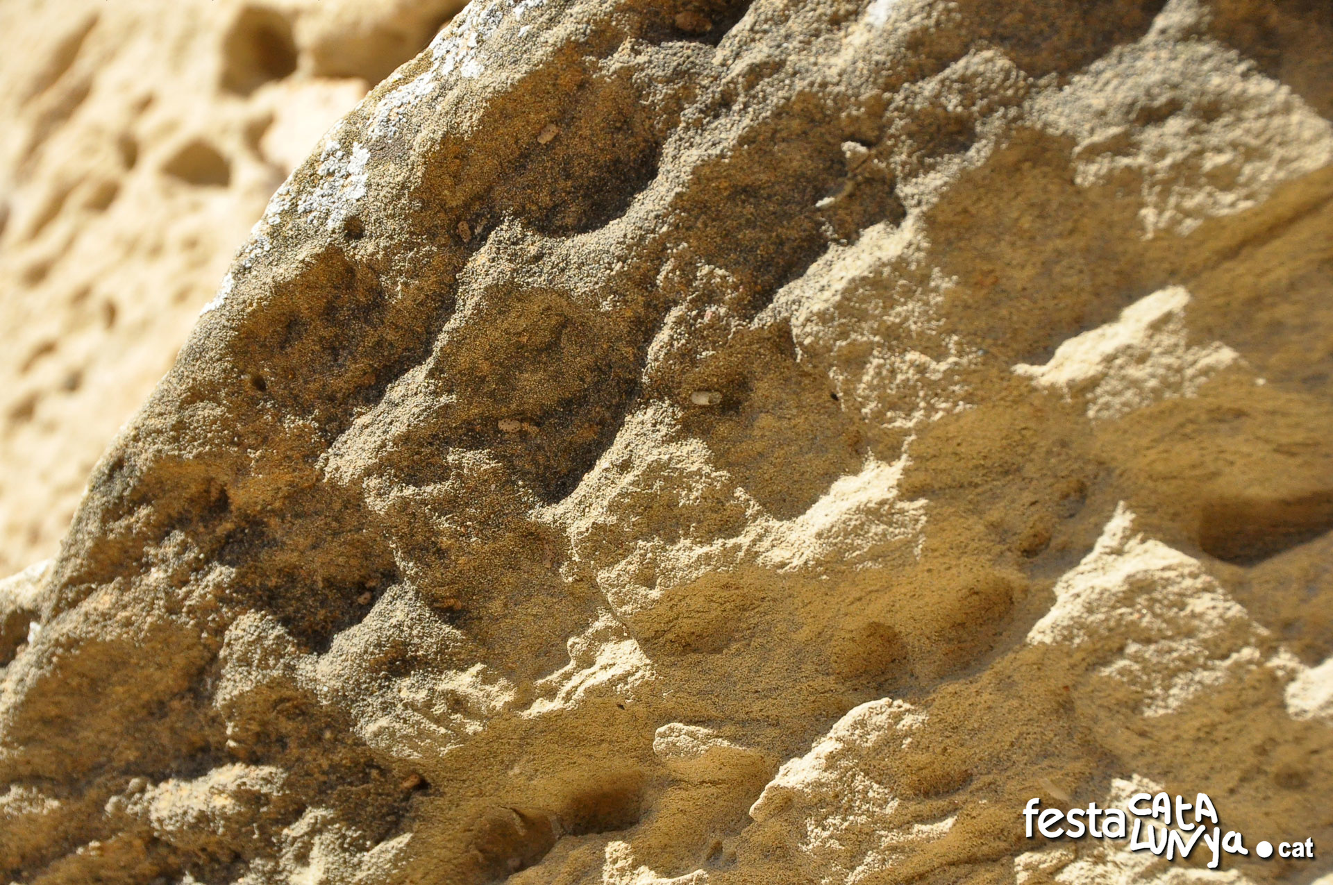 Les Piles - Sant Salvador de Figuerola a les Piles