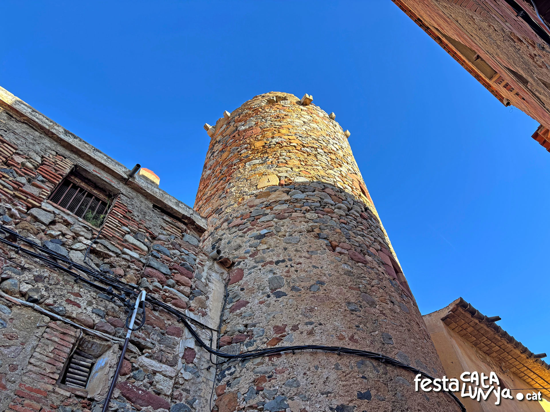 L'Arbocet a Vilanova d'Escornalbou ***