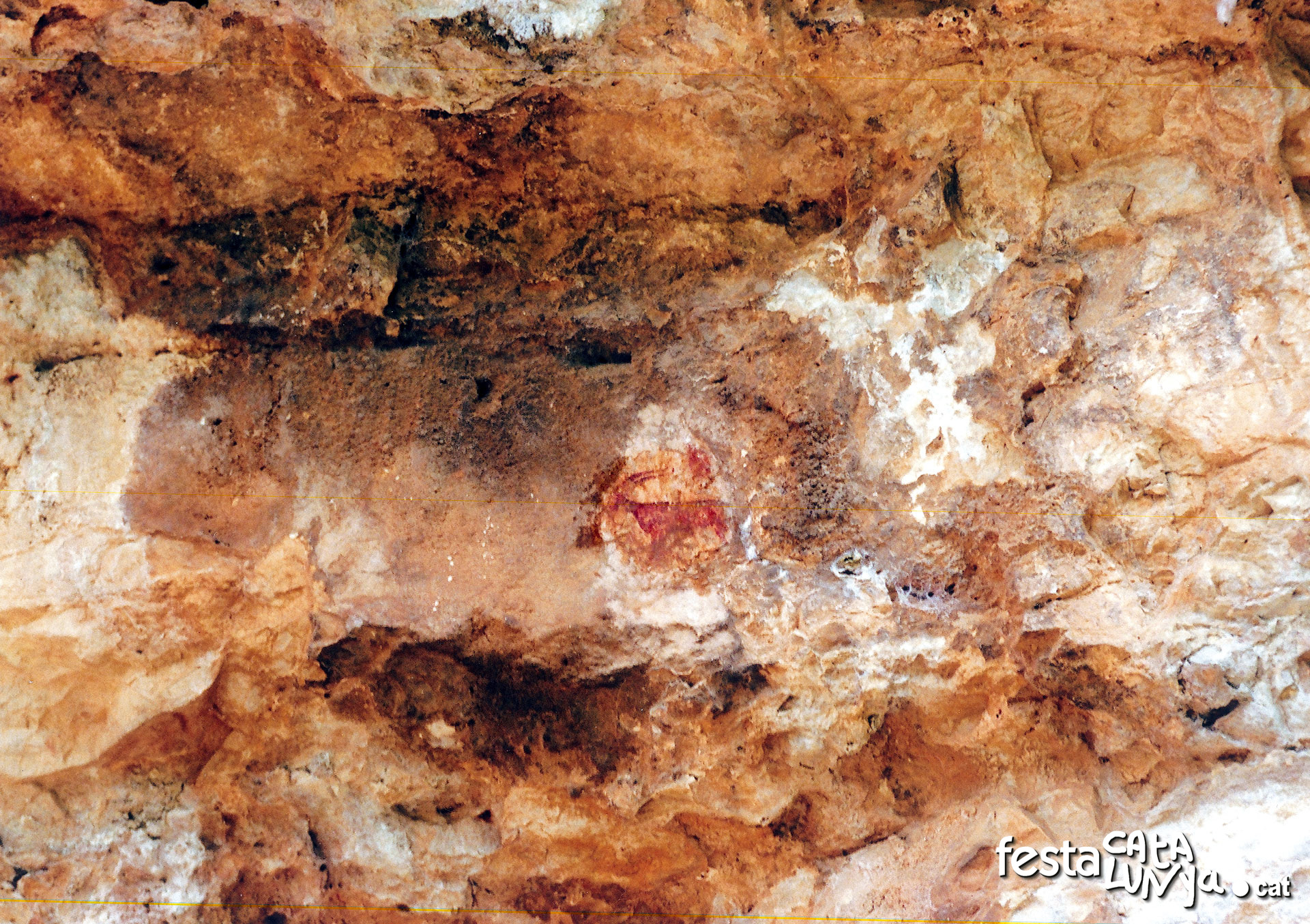 La Llacuna - Pintures rupestres de Valldecerbes o de Roca Roja