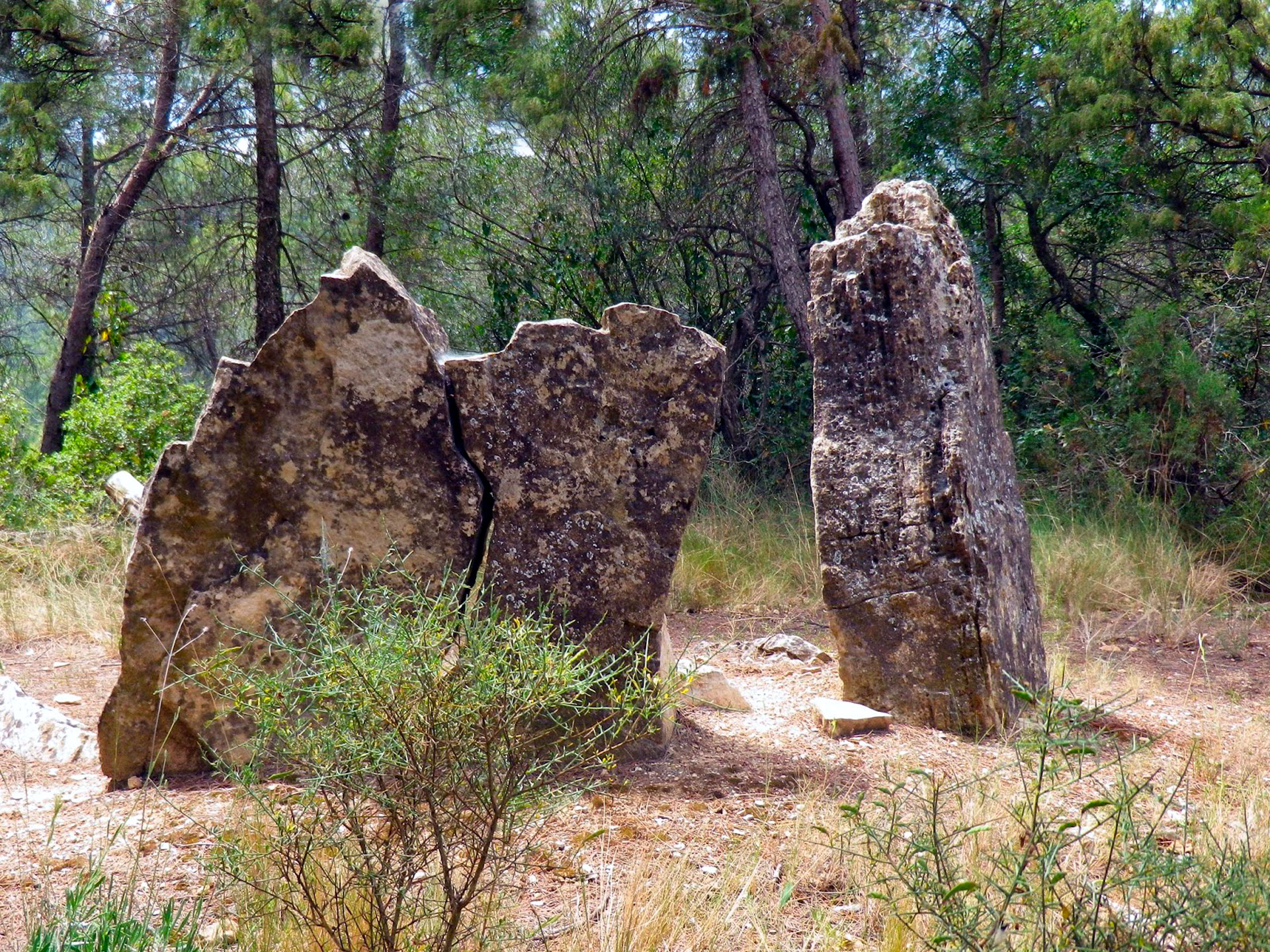 Dolmen o sepulcre megalítc de la Comallagosa a La Llacuna