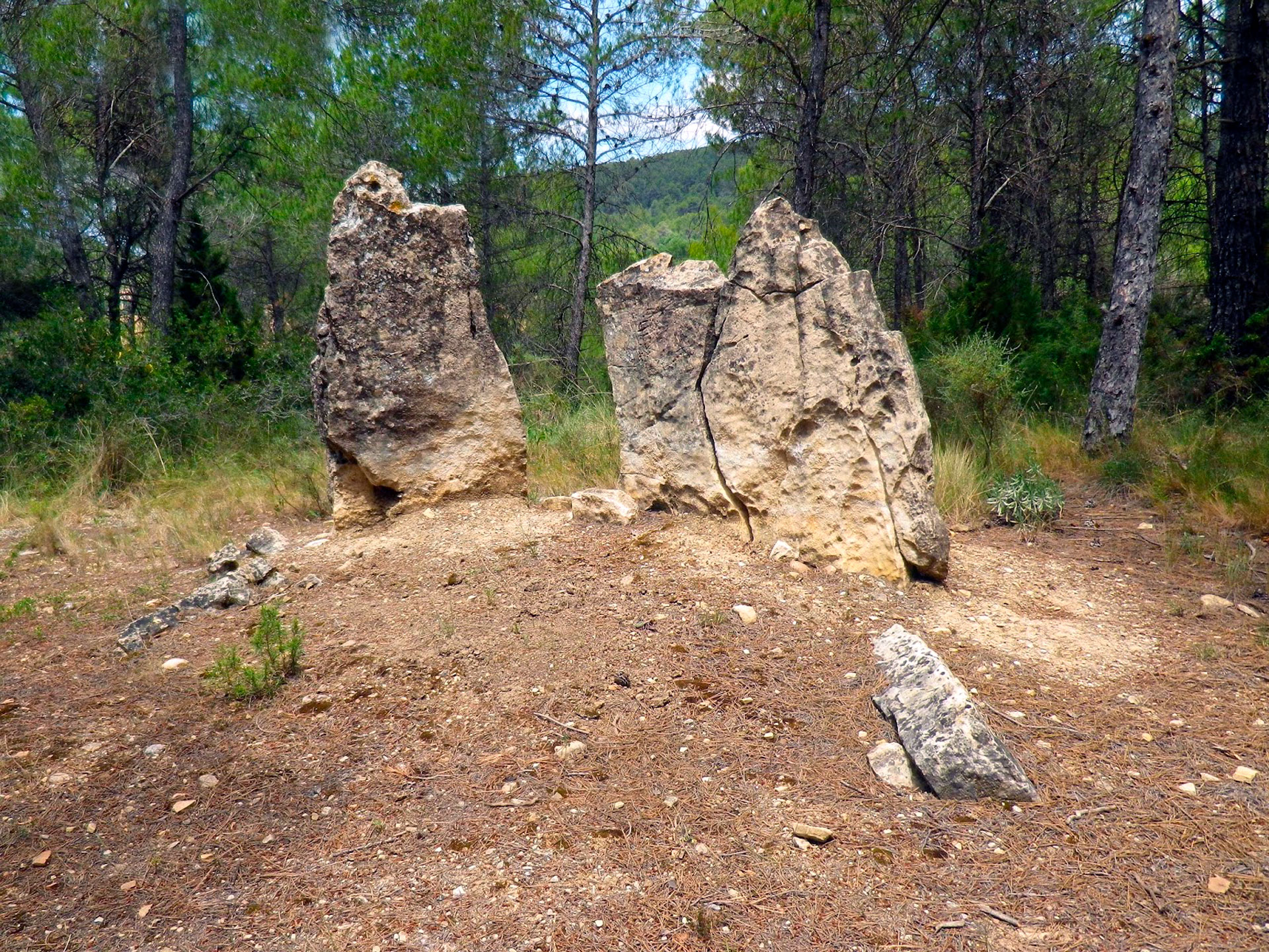 La Llacuna - Dolmen o sepulcre megalítc de la Comallagosa (Foto: dolmensmenhirs.blogspot.com)