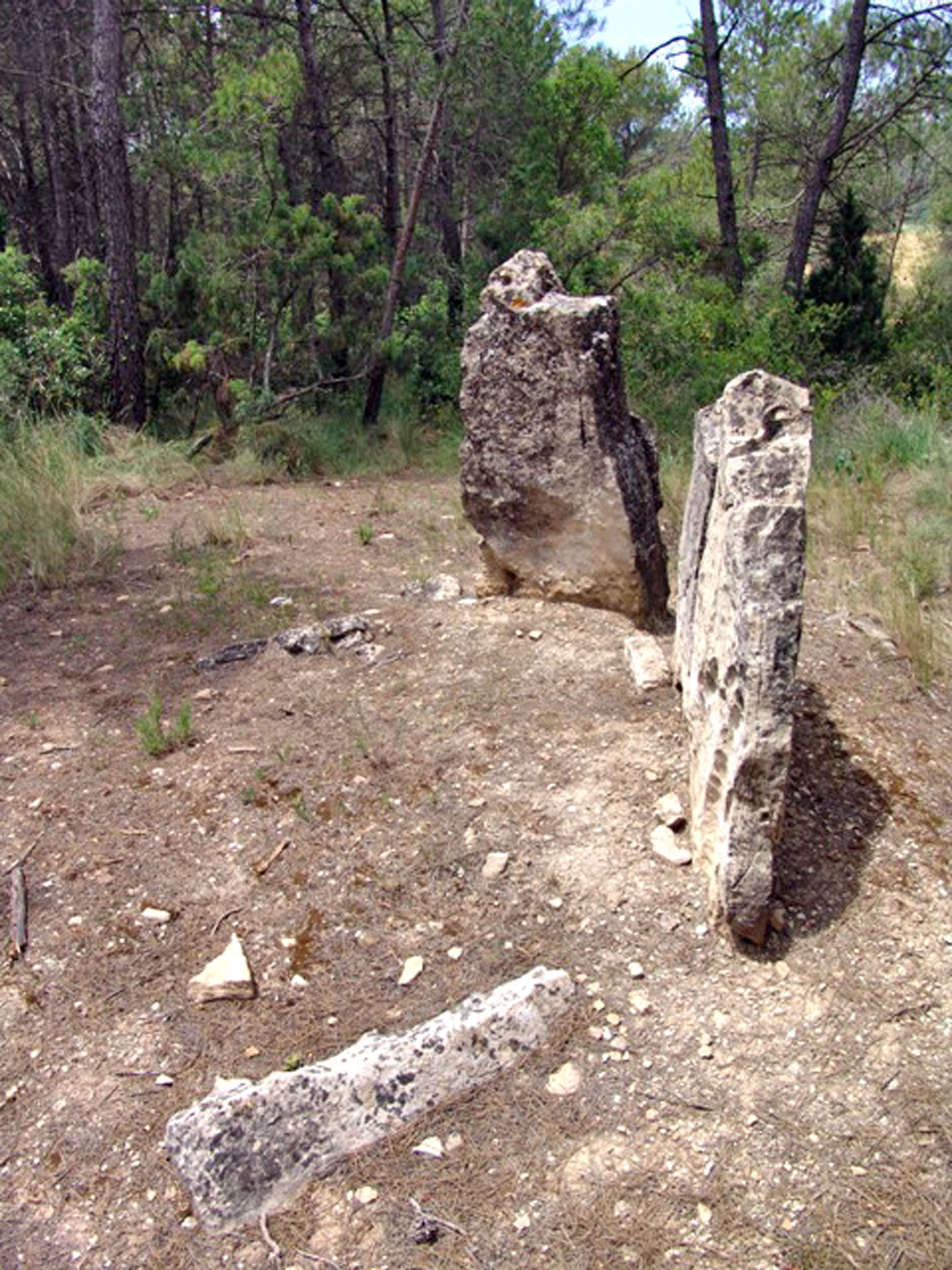La Llacuna - Dolmen o sepulcre megalítc de la Comallagosa (Foto: Mapa del Patrimoni de la Diputació de Barcelona)