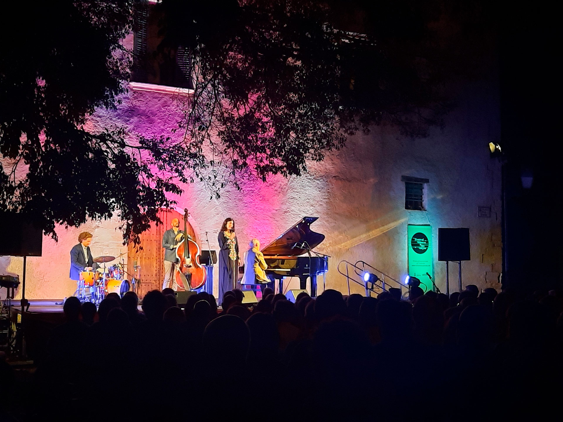 Festival Música a les Vinyes a Subirats