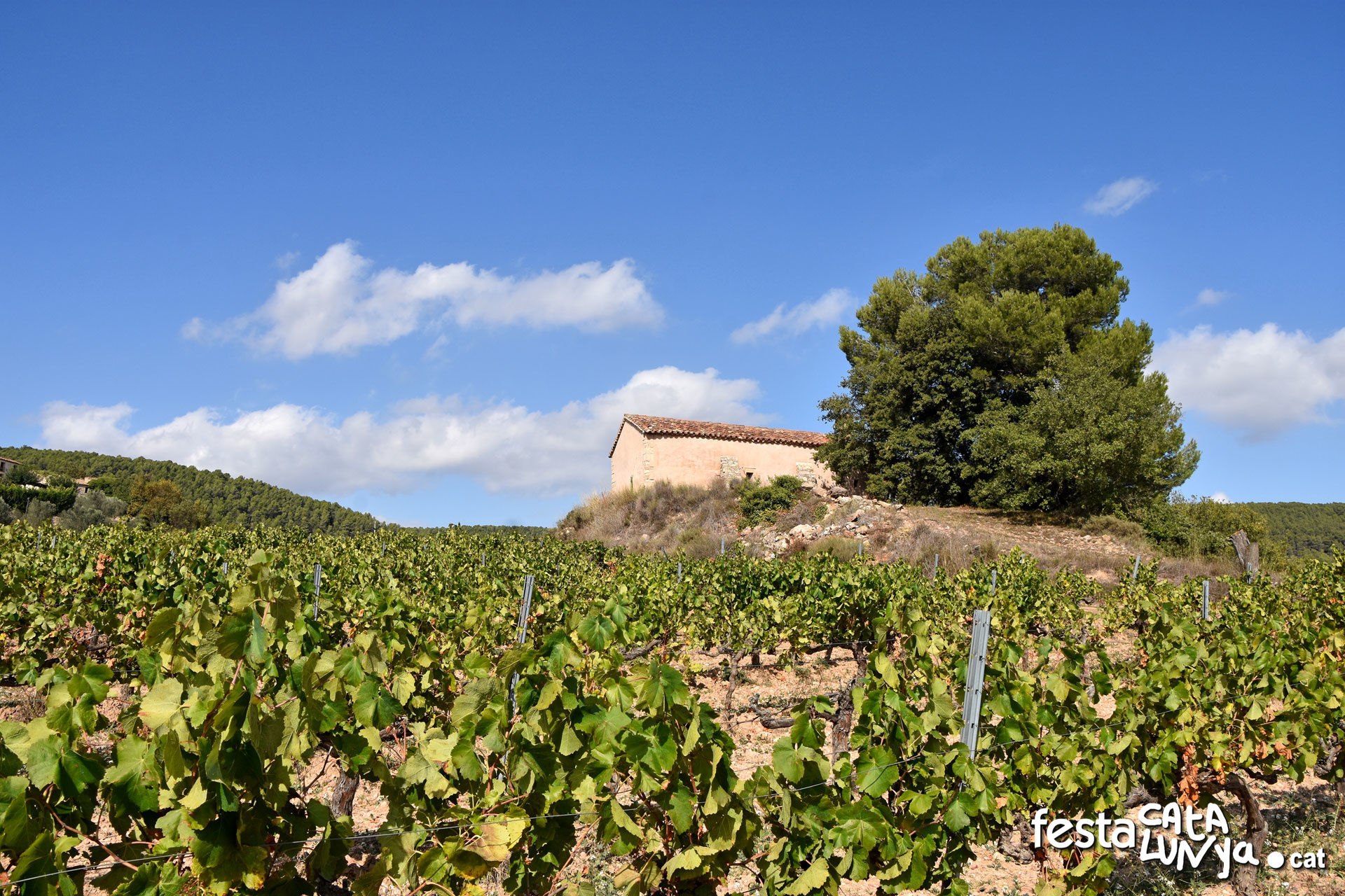 Ermita de Sant Antoni Abat del Pla a La Llacuna