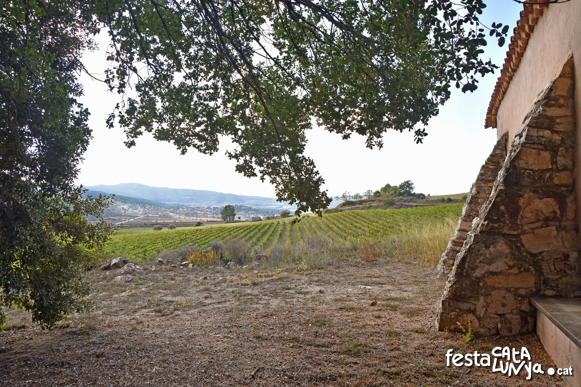 La Llacuna - Ermita de Sant Antoni Abat del Pla