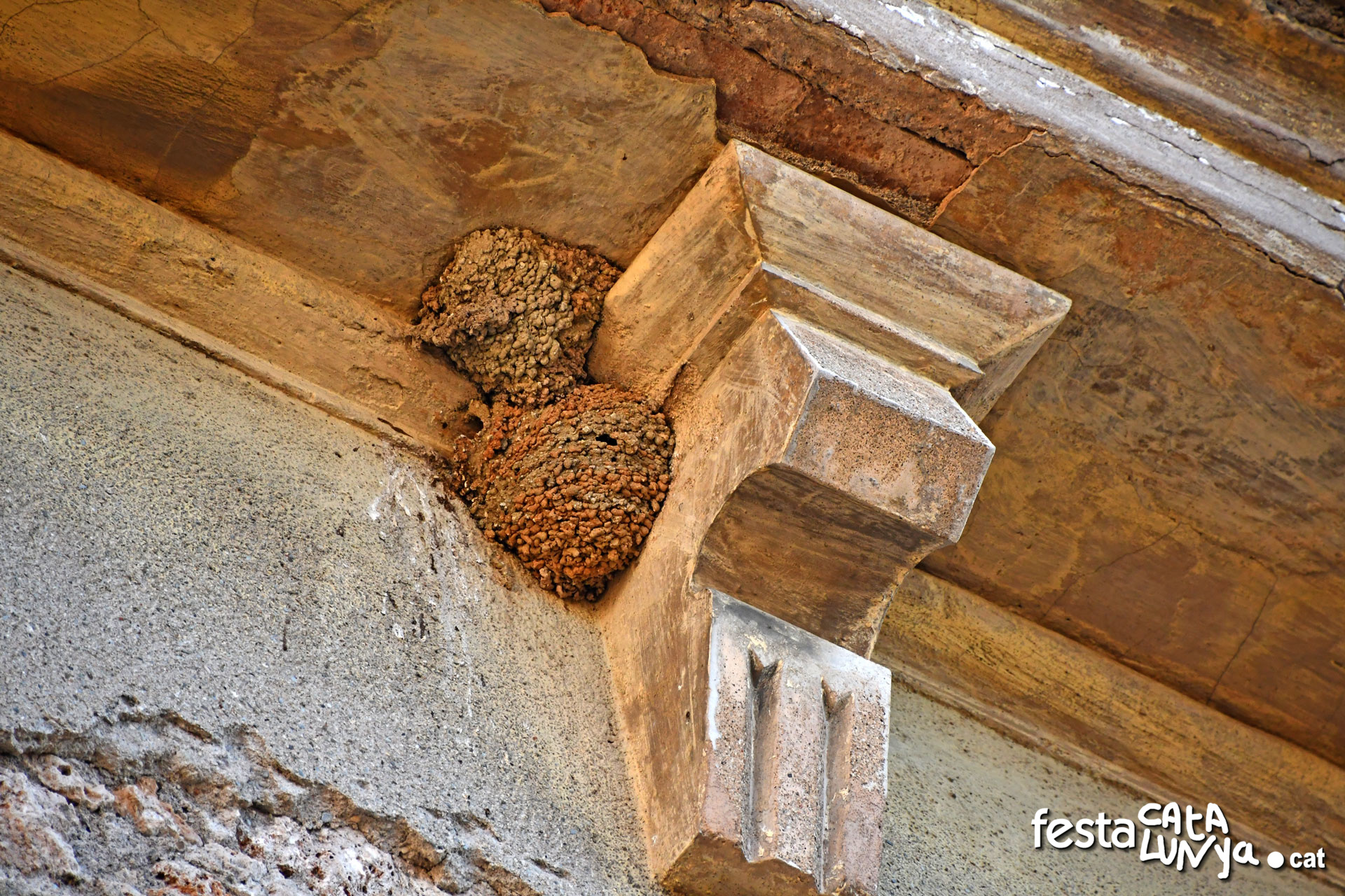 Vallbona d'Anoia - Carrer Major - Cal Flo