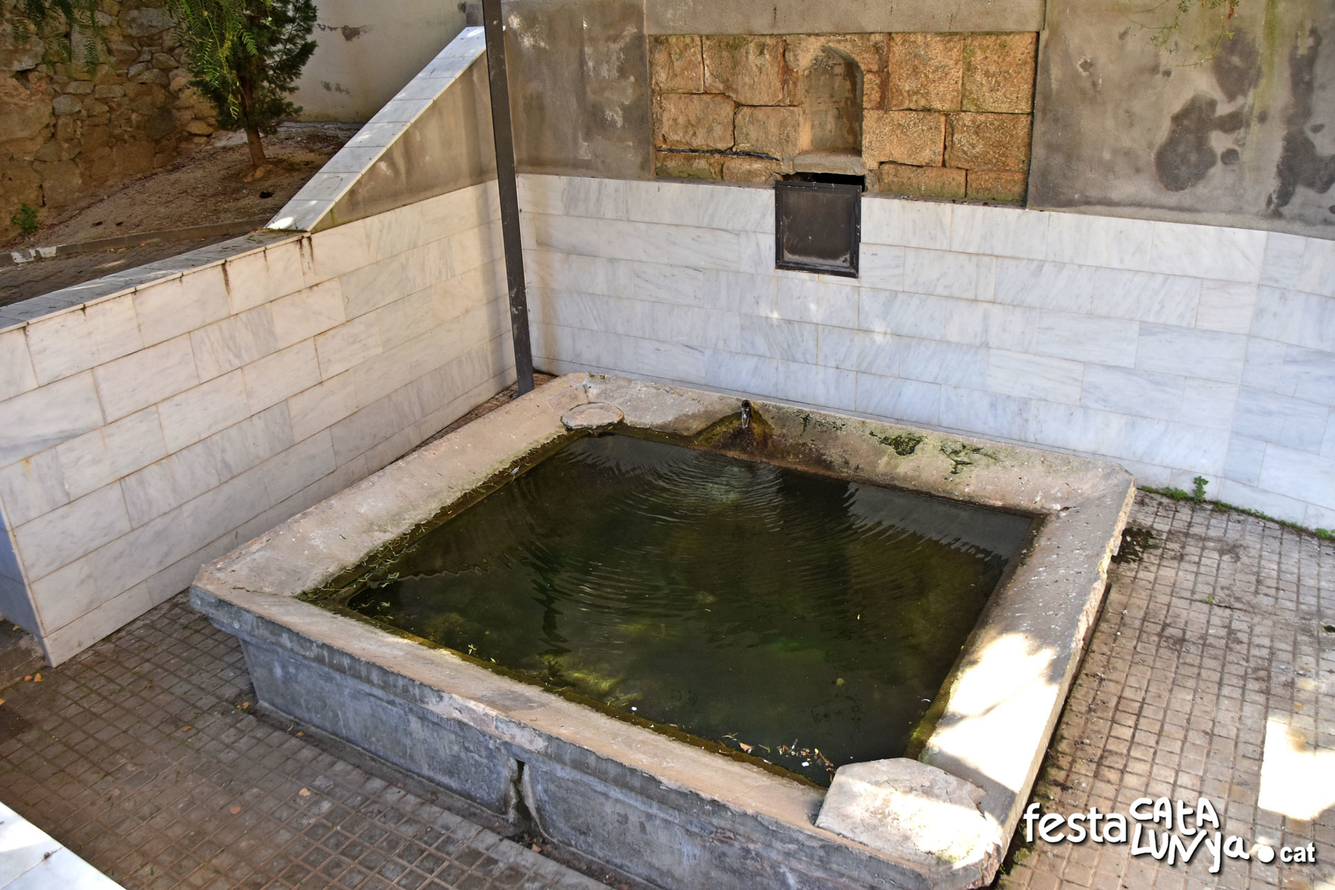 Vallbona d'Anoia - Safareig