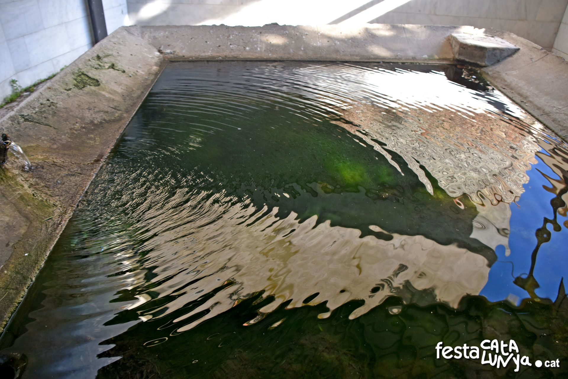 Vallbona d'Anoia - Safareig
