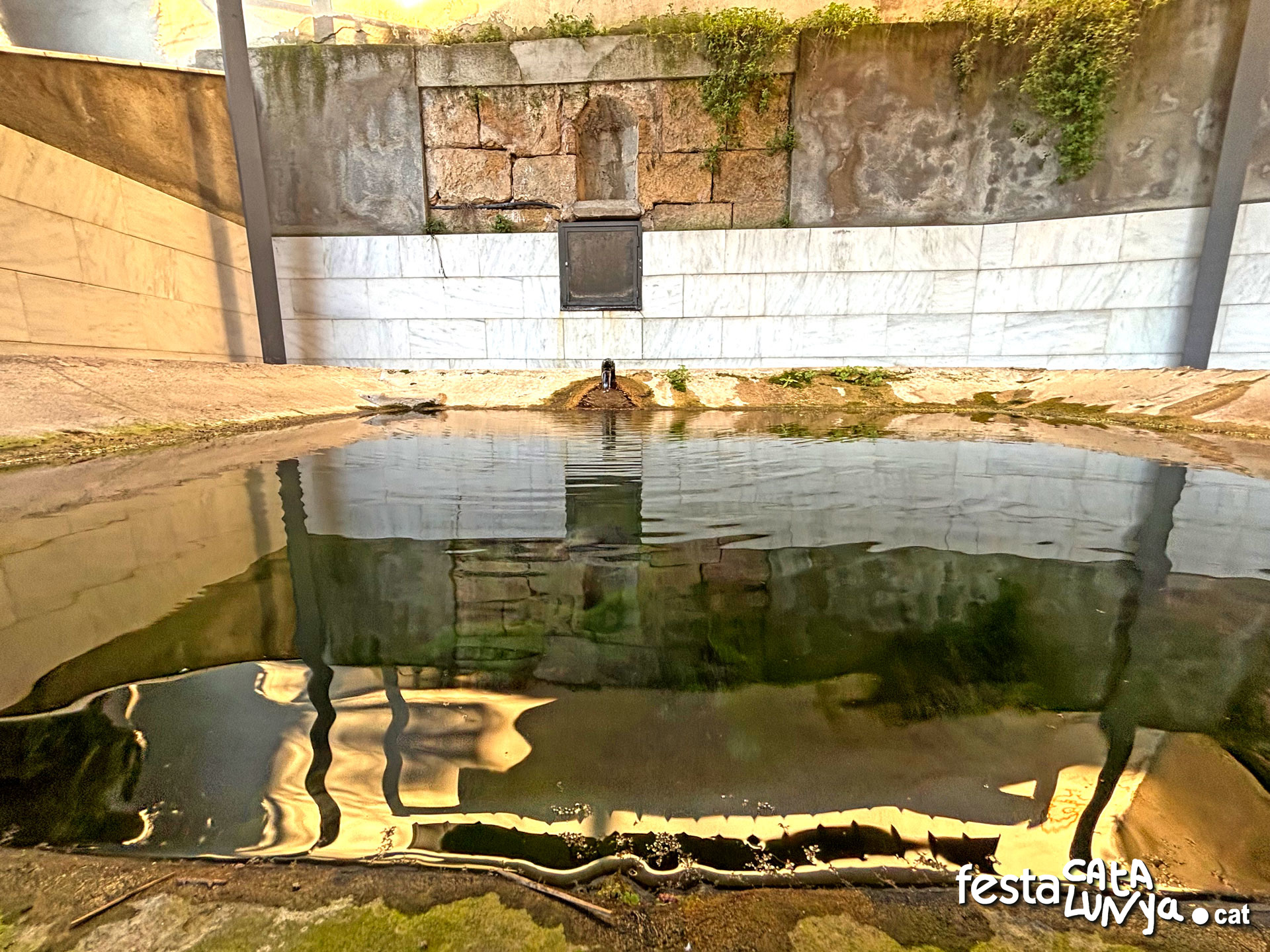 Vallbona d'Anoia - Safareig