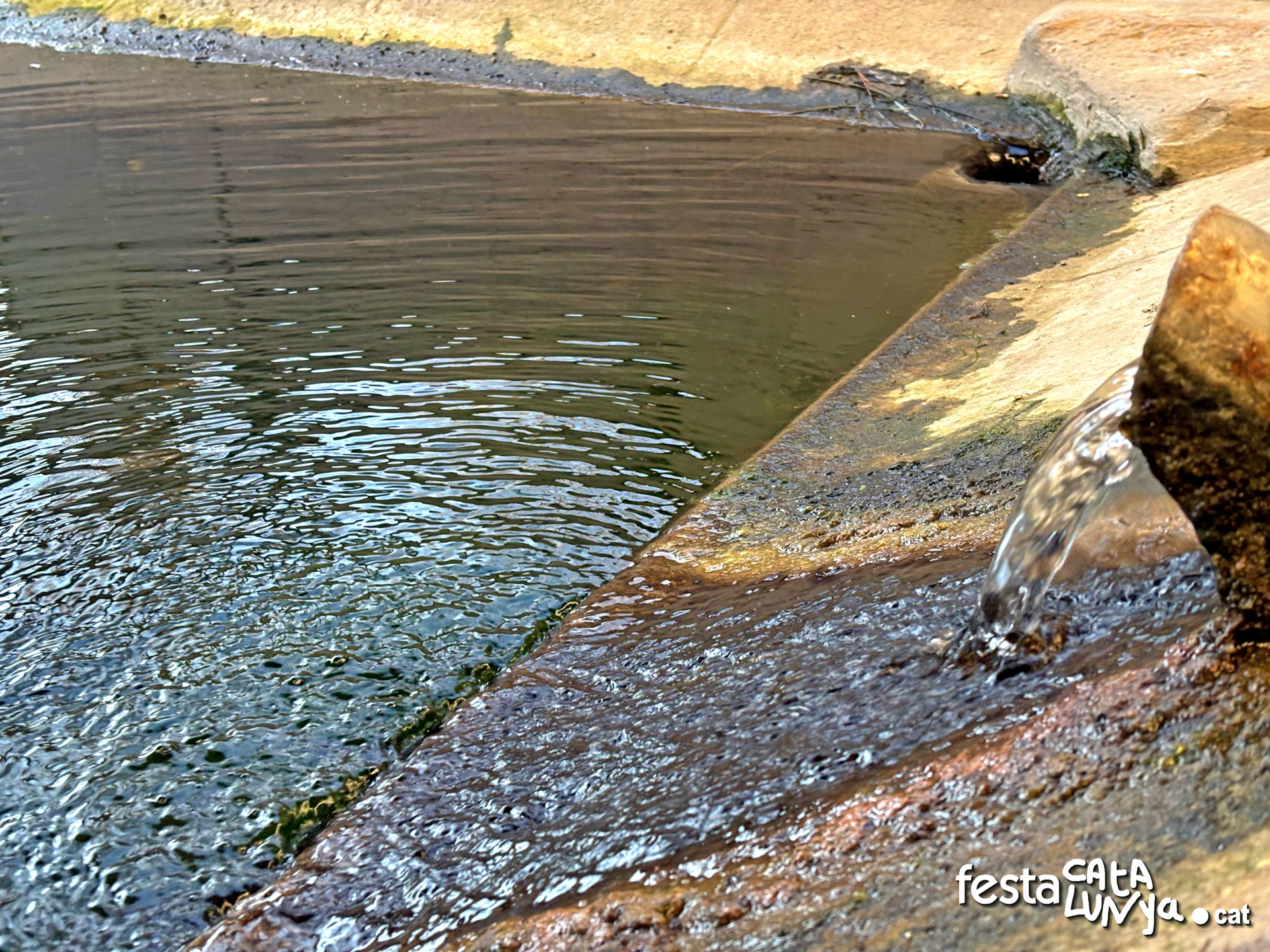 Vallbona d'Anoia - Safareig