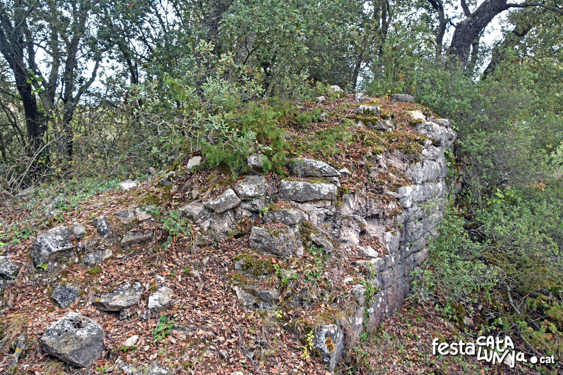 Monestir i granja medieval i pou d'Ancosa a La Llacuna