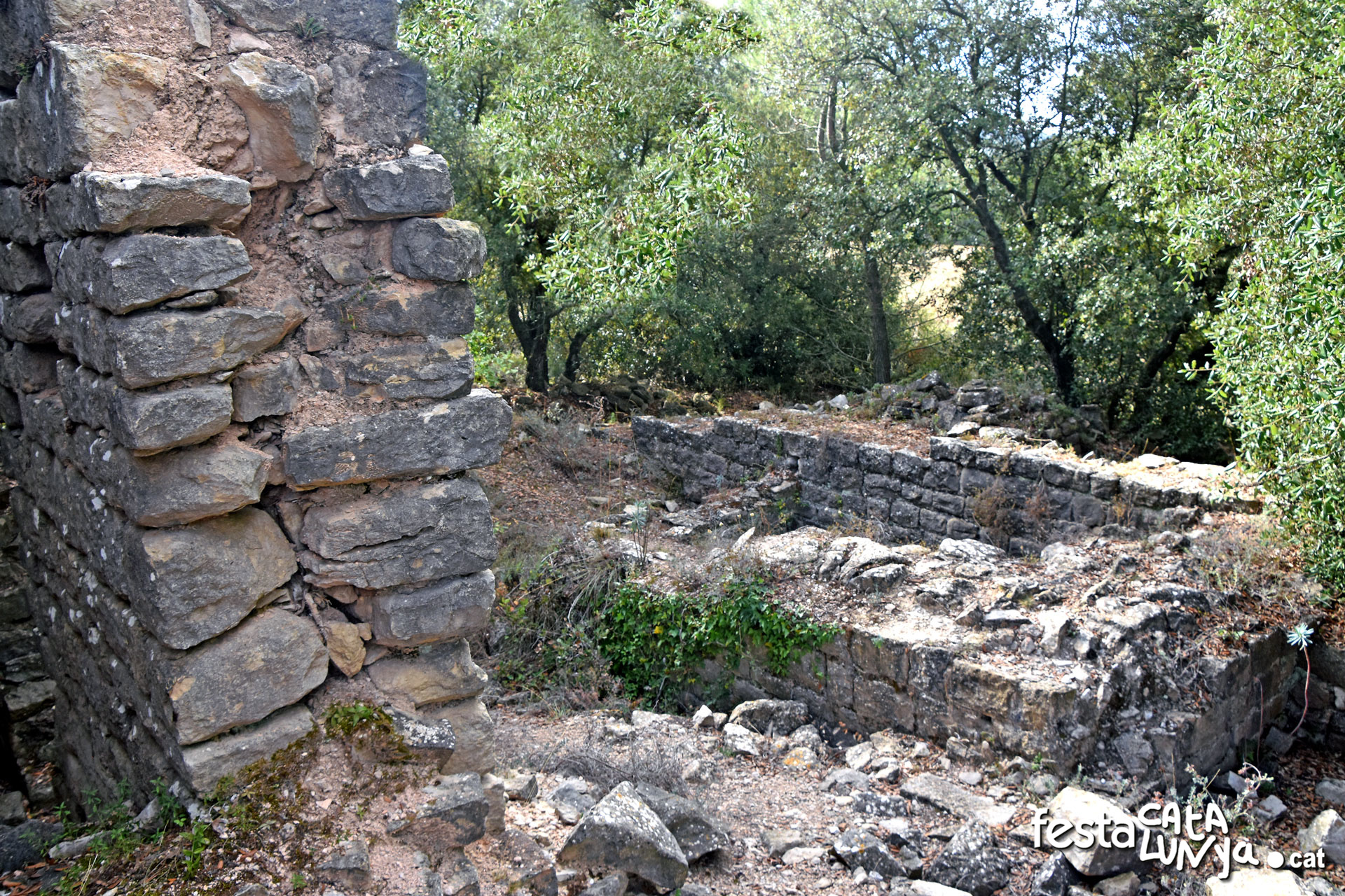 La Llacuna - Monestir i granja medieval i pou d'Ancosa