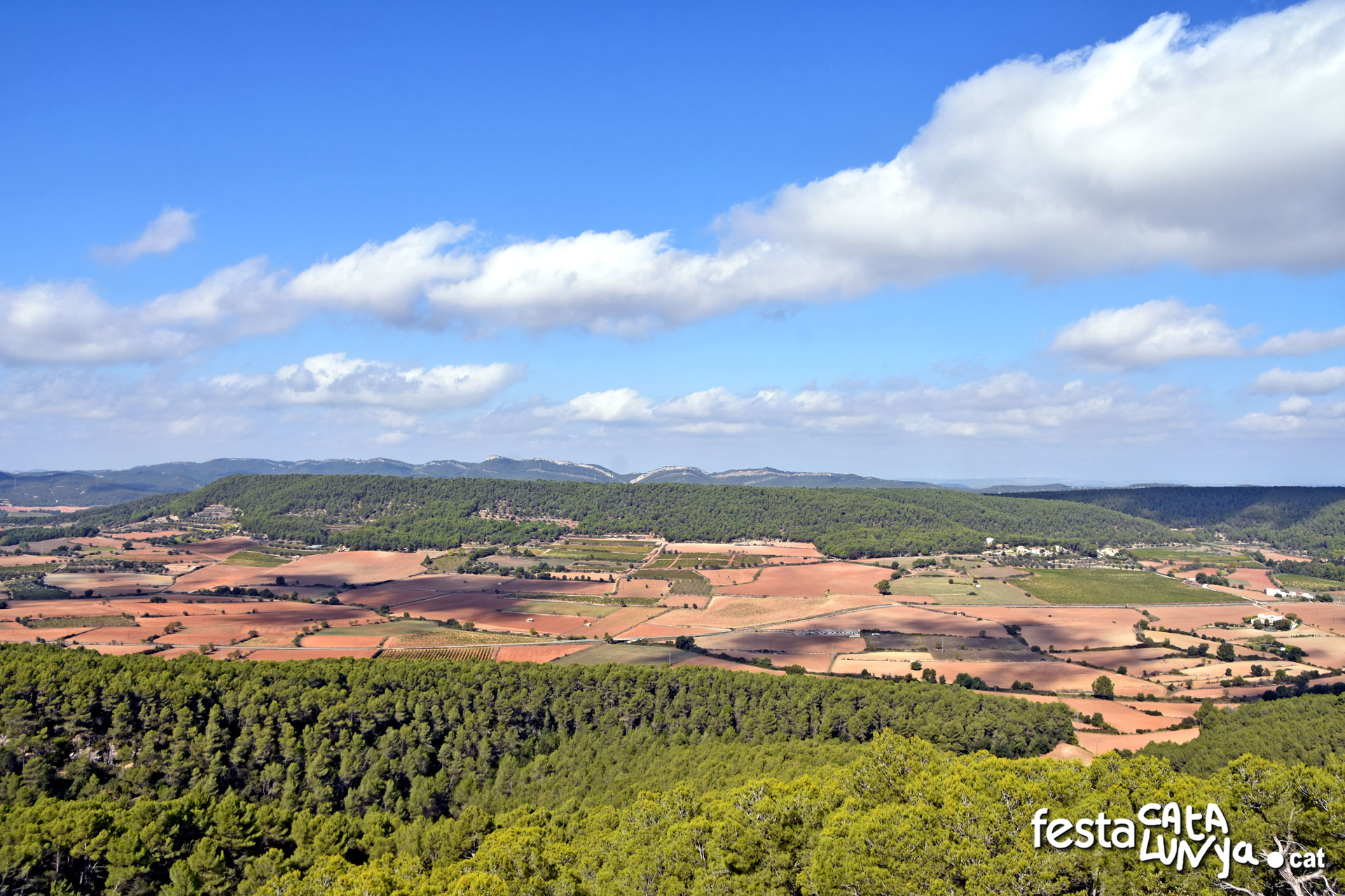Vistes panoràmiques des del castell de Vilademàger a La Llacuna