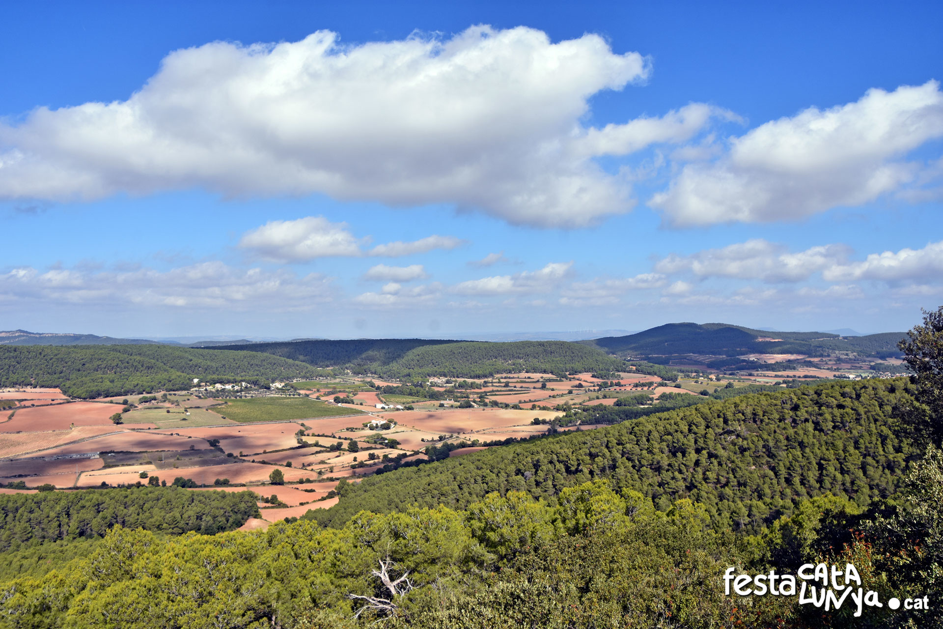 La Llacuna - Vistes panoràmiques des del castell de Vilademàger