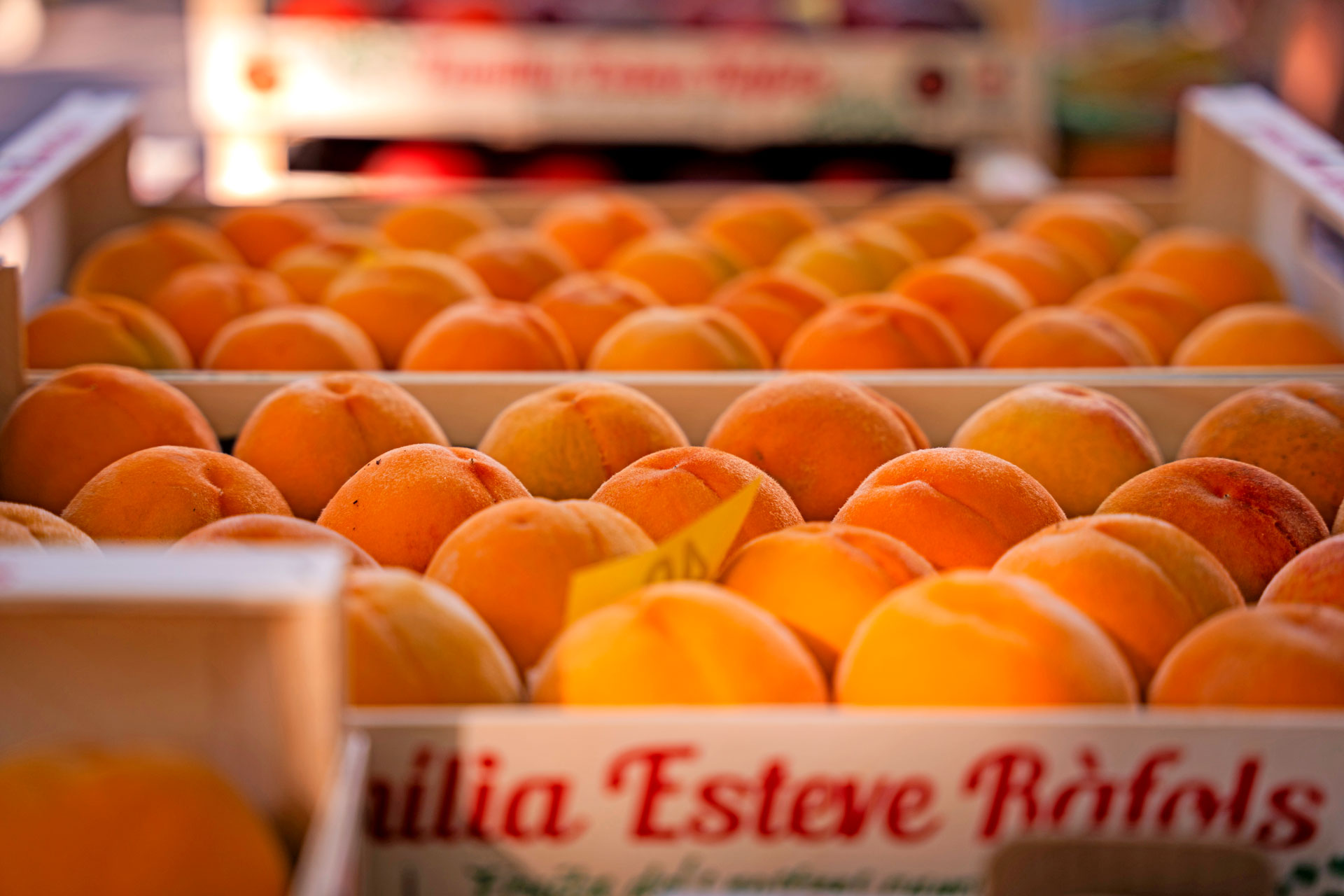Subirats - Mercat del Préssec d'Ordal (Foto: Turisme Subirats)