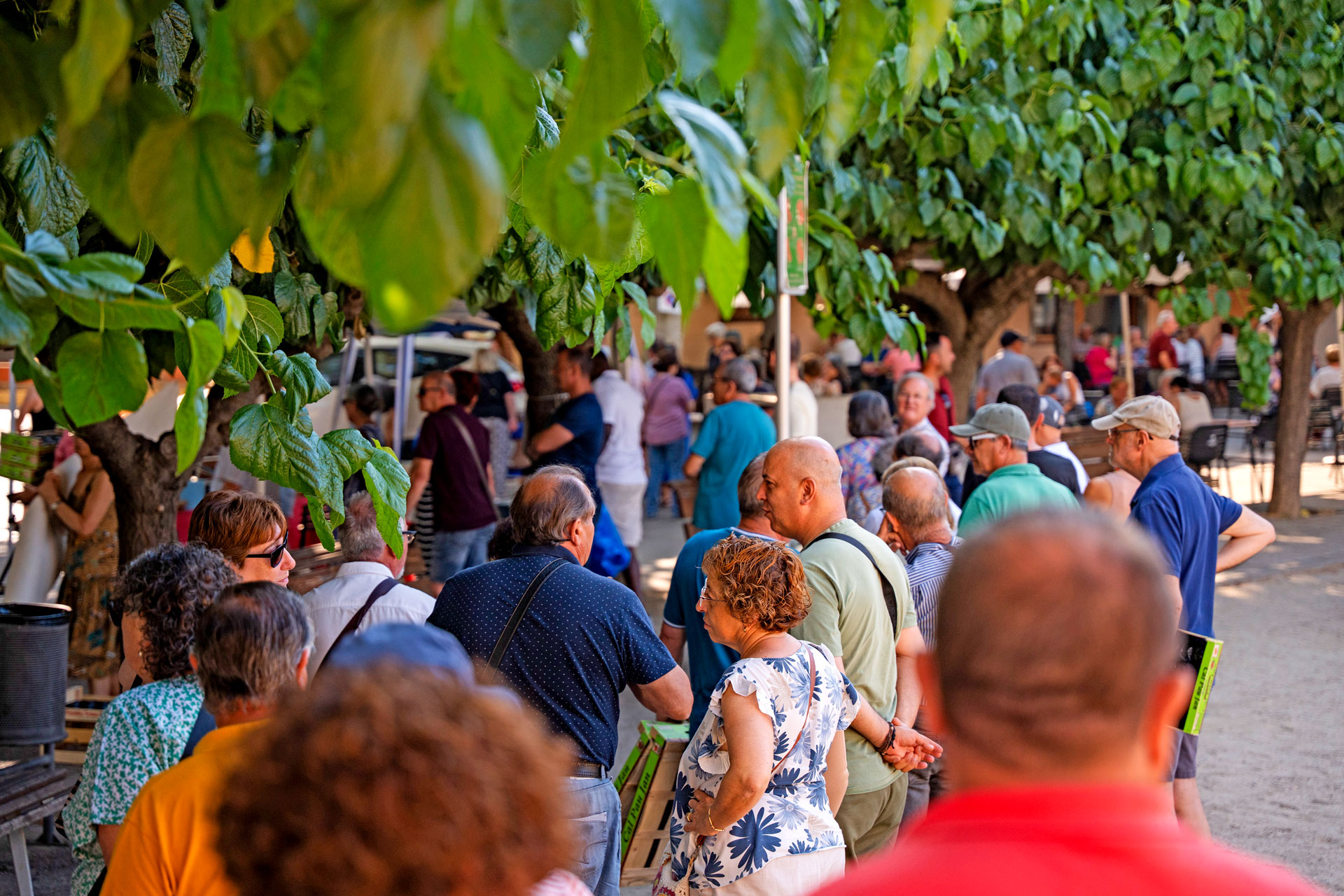 Subirats - Mercat del Préssec d'Ordal (Foto: Turisme Subirats)