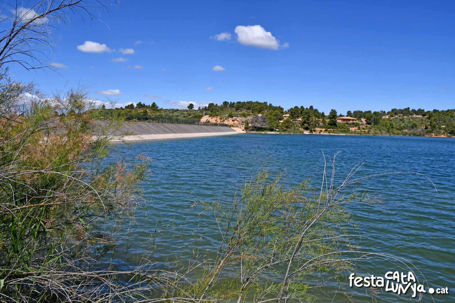 Embassament de la Palma d'Ebre