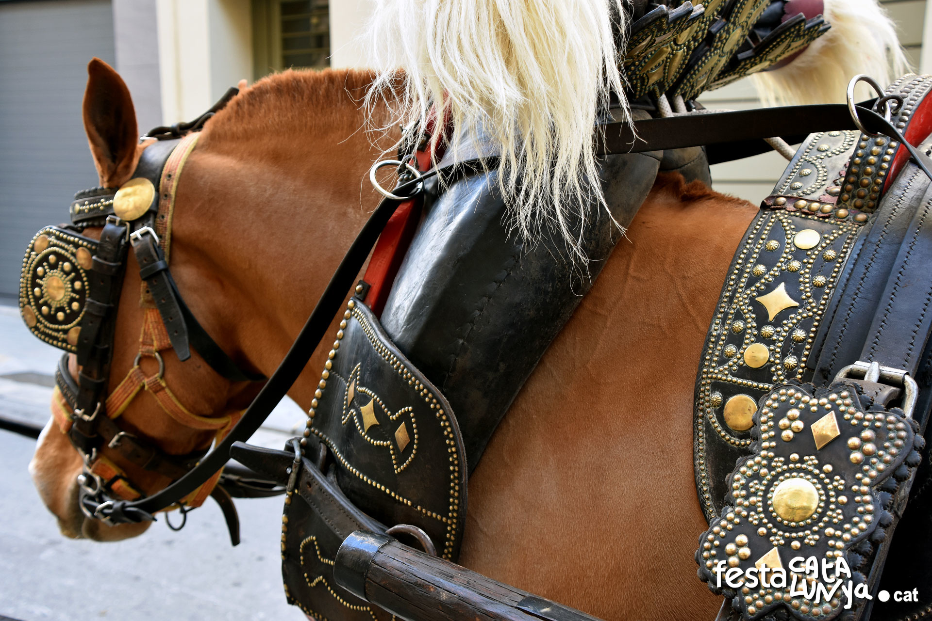 Tres Tombs a La Ràpita