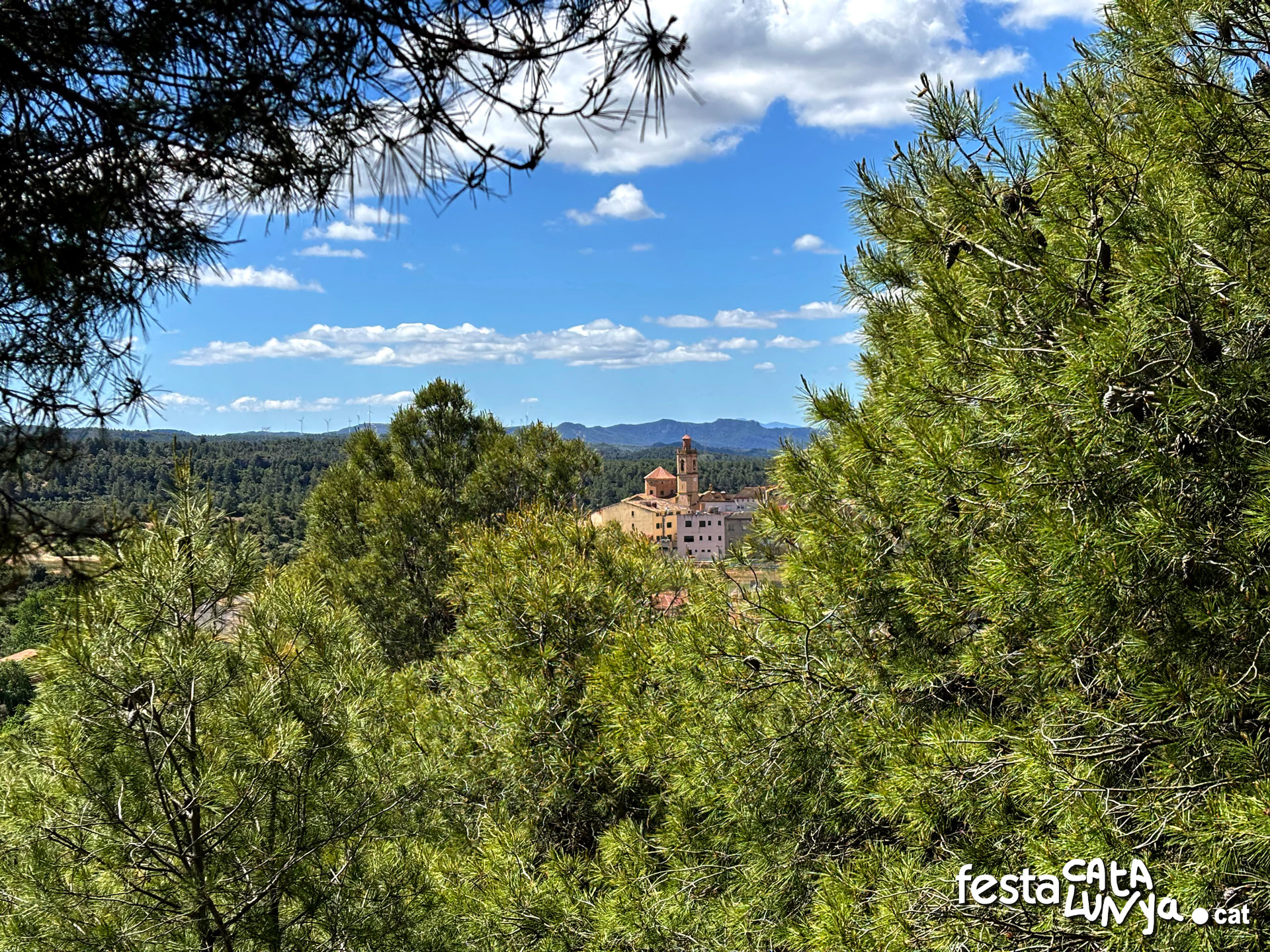Vistes panoràmiques des del Pi de la Palma d'Ebre