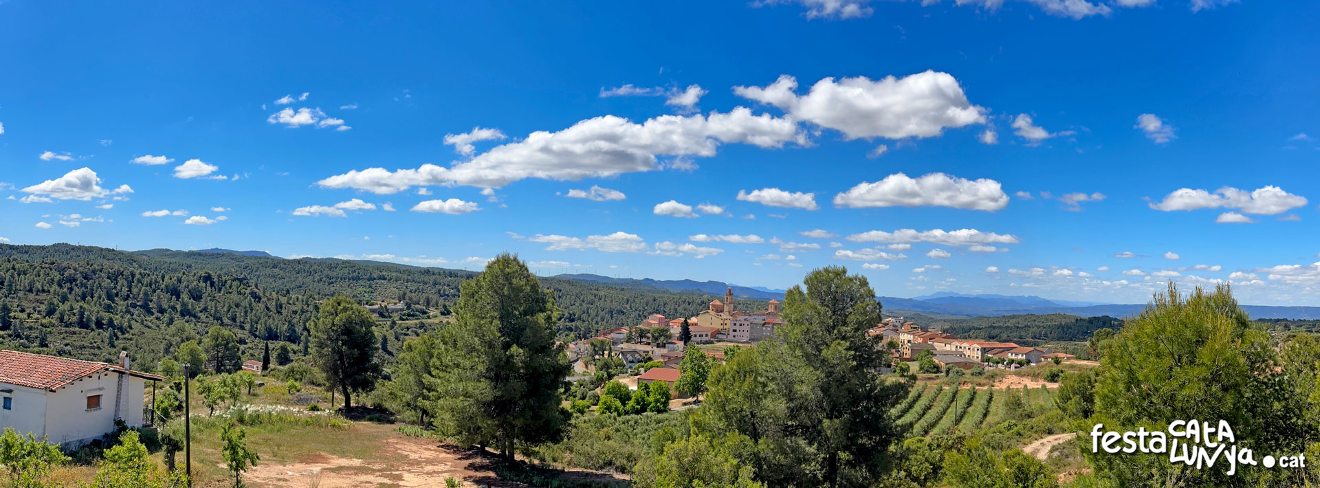 La Palma d'Ebre - Vistes panoràmiques des del Pi de la Palma d'Ebre