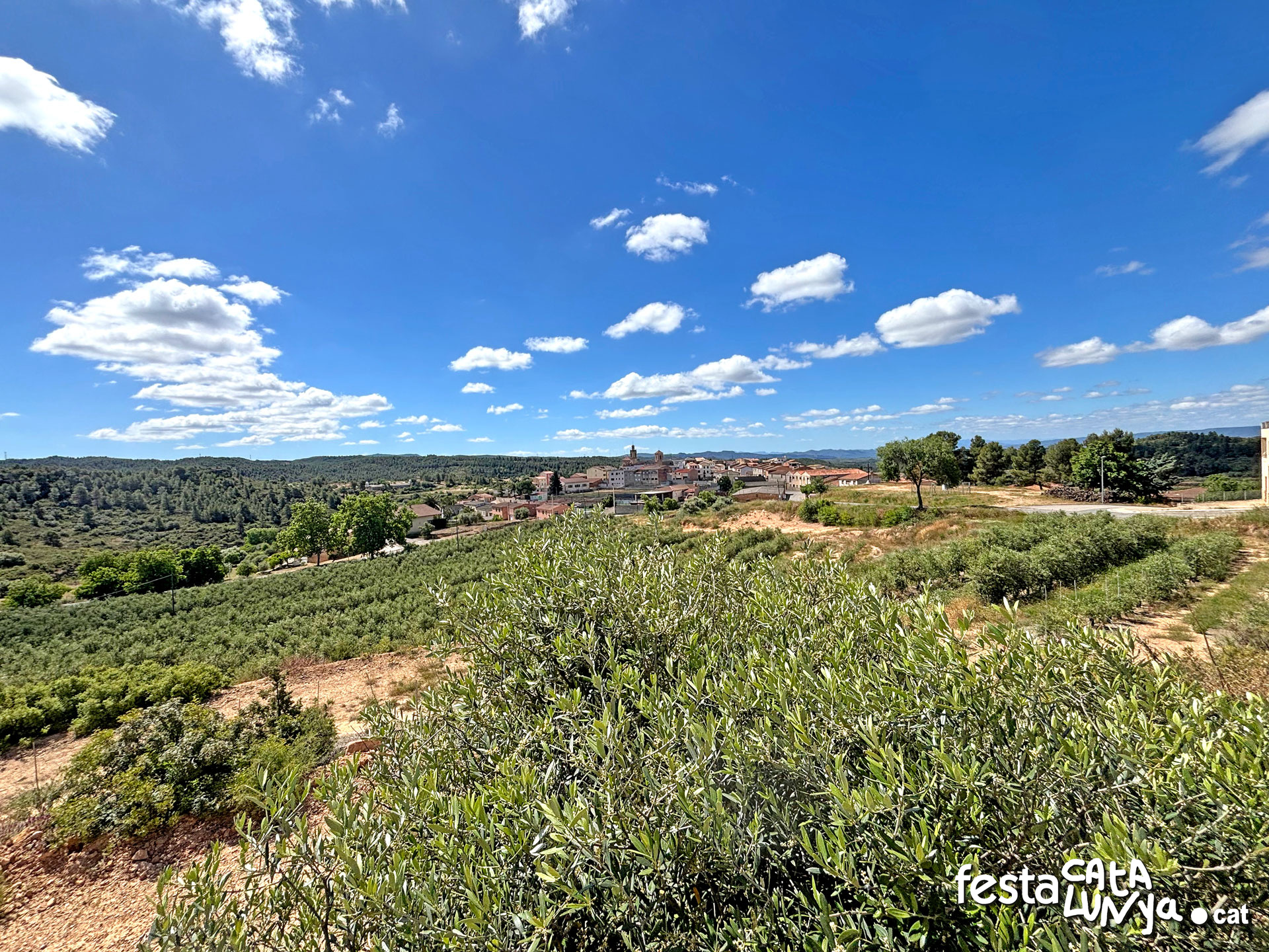 La Palma d'Ebre - Vistes panoràmiques des del Pi de la Palma d'Ebre