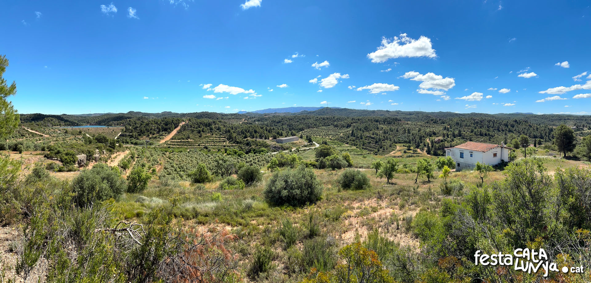 La Palma d'Ebre - Vistes panoràmiques des del Pi de la Palma d'Ebre