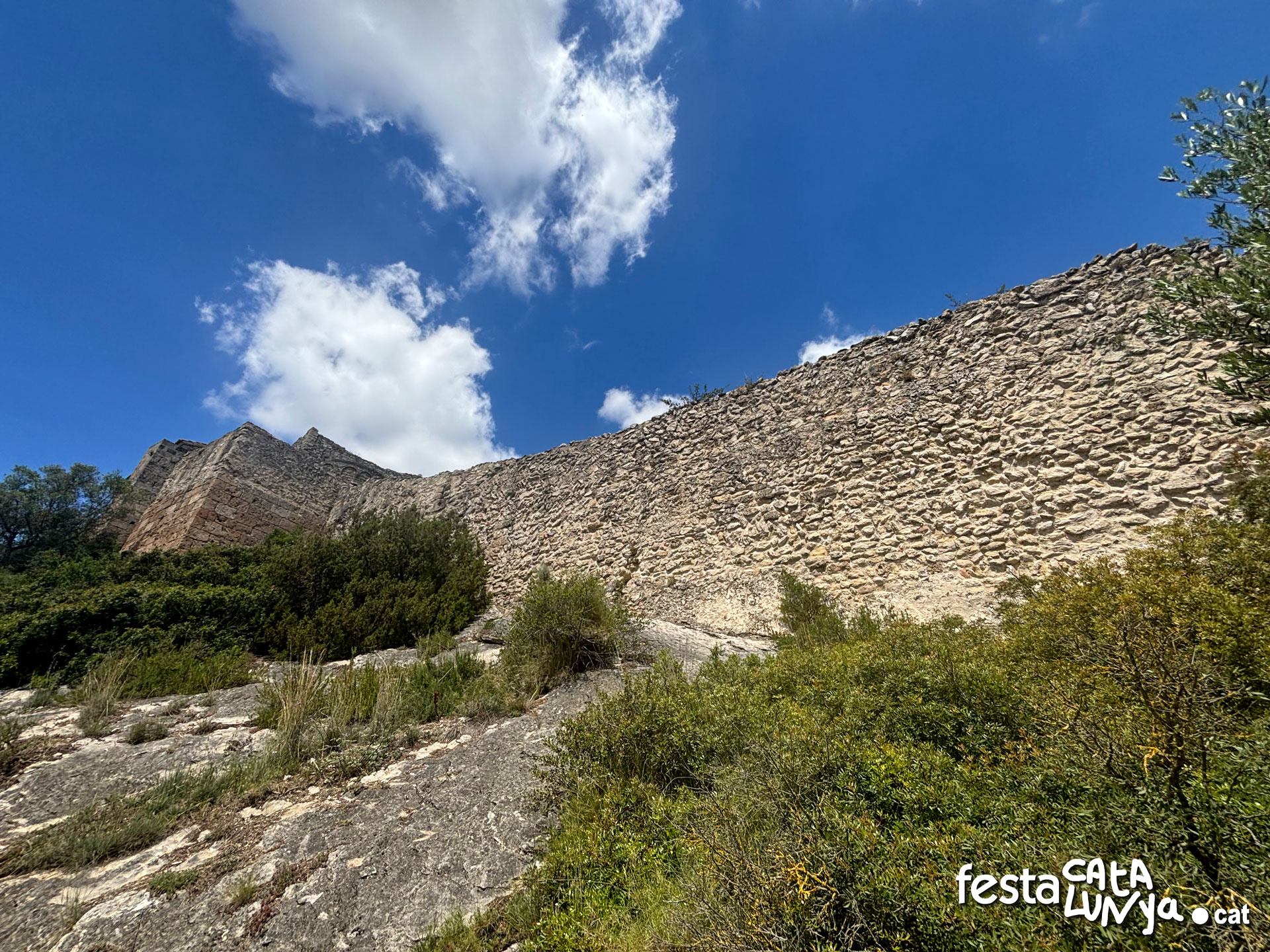 La Pobla de Claramunt - Castell de Claramunt