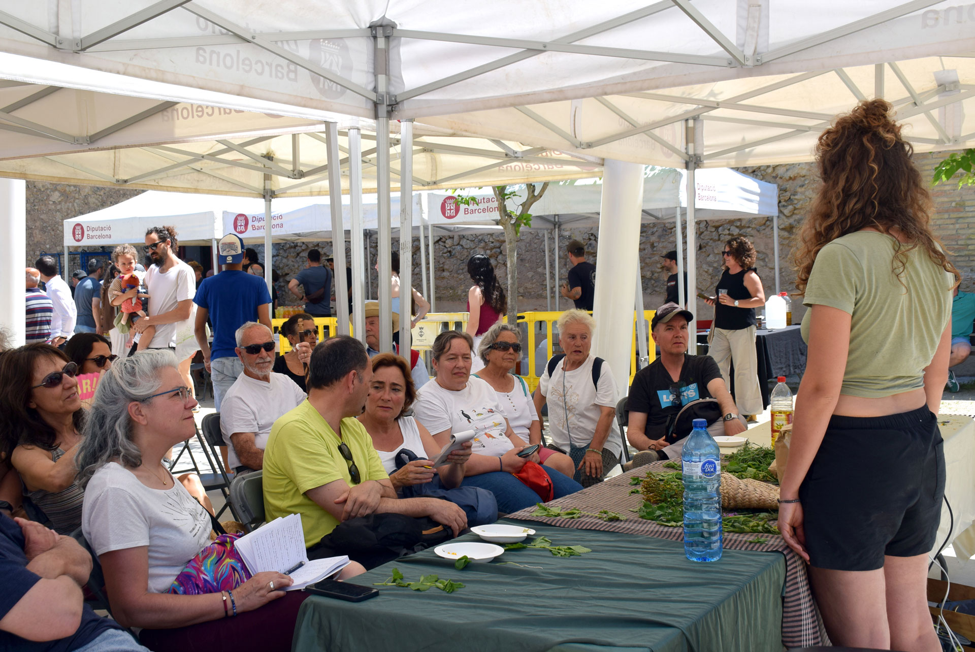 Subirats - Festa de la Terra (Foto: Turisme Subirats)