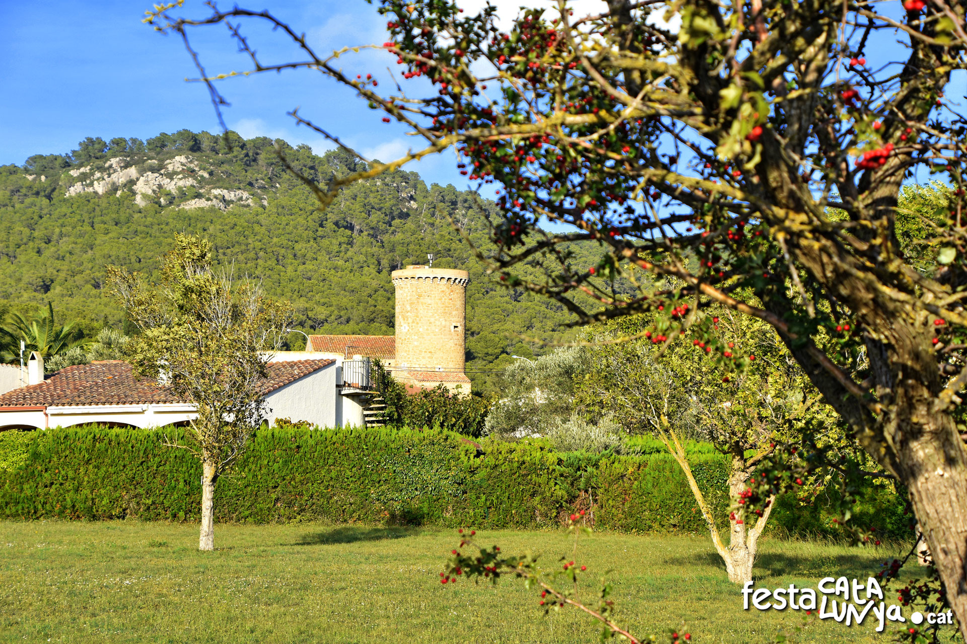 Torroella de Montgrí-L'Estartit - Mas de la Torre Gran
