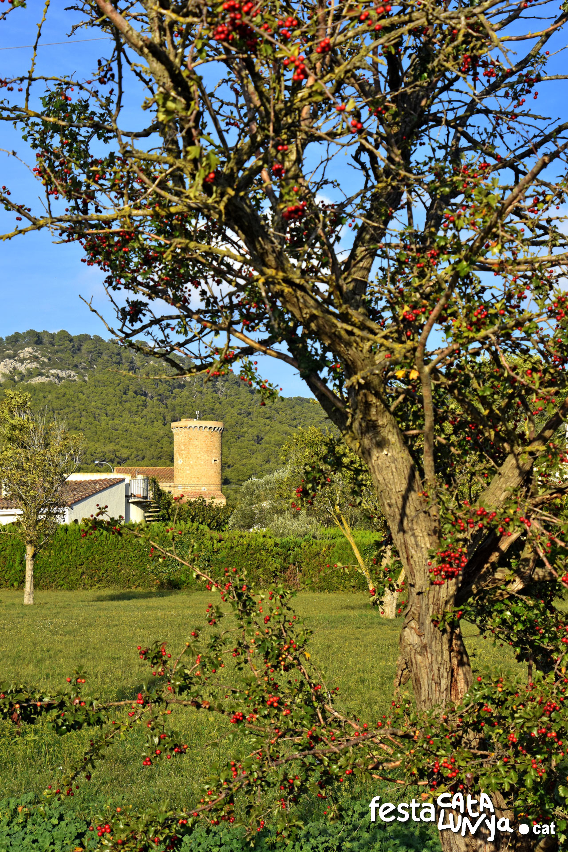 Torroella de Montgrí-L'Estartit - Mas de la Torre Gran