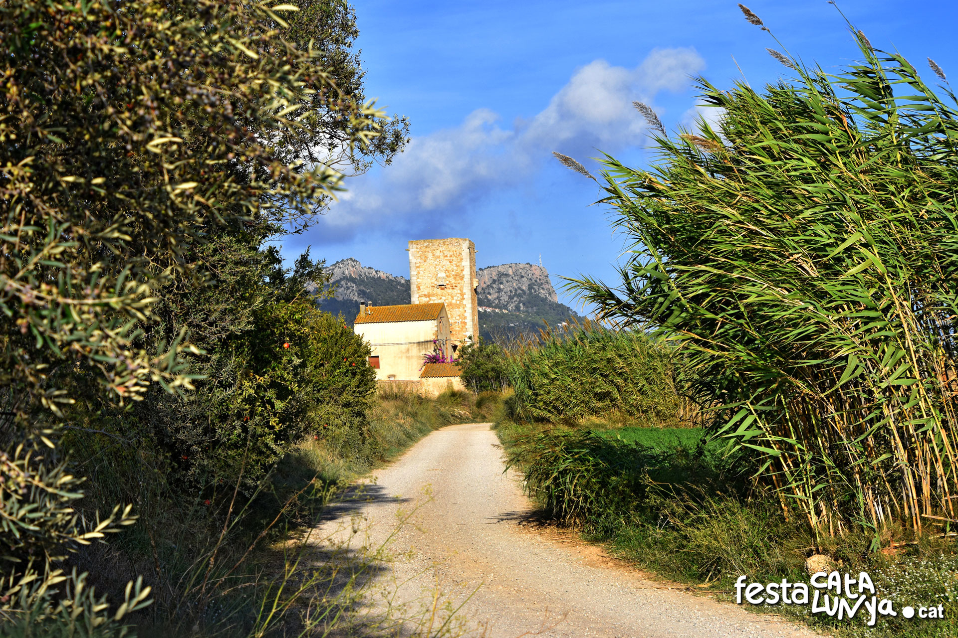 Torroella de Montgrí-L'Estartit - Torre Begura
