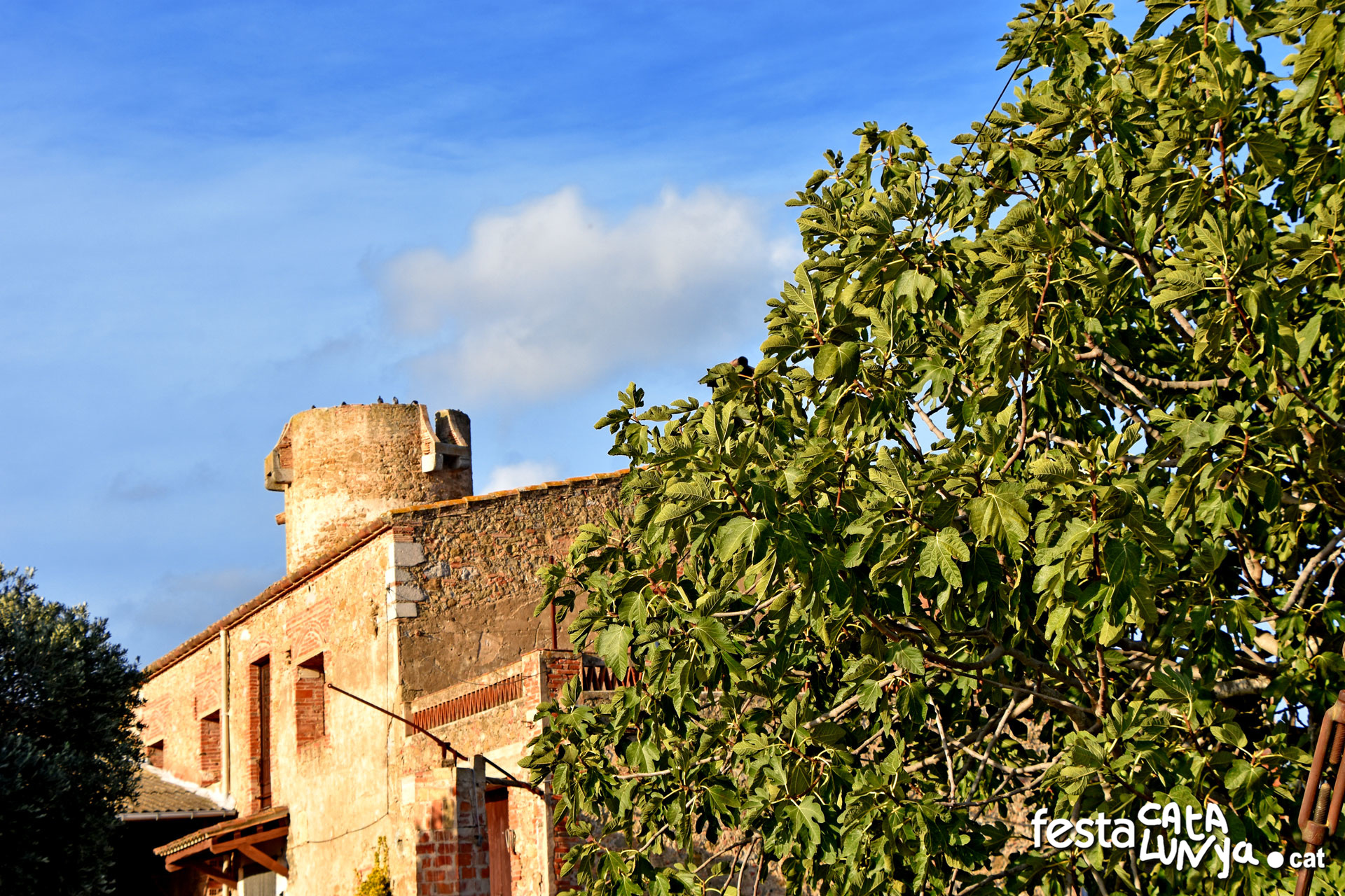 Torroella de Montgrí-L'Estartit - Torre Quintaneta