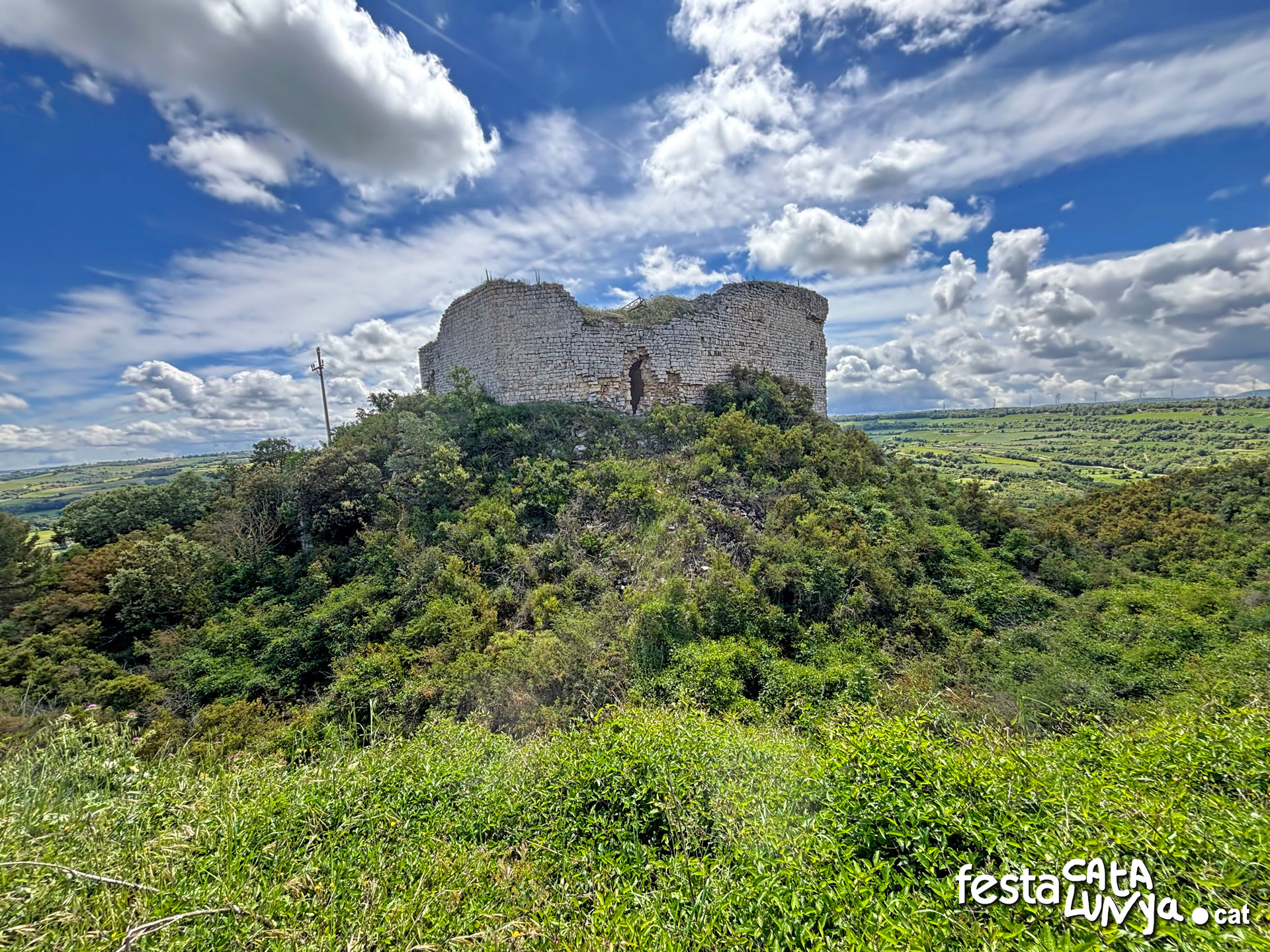 Castell de la Guàrdia Lada a Montoliu de Segarra