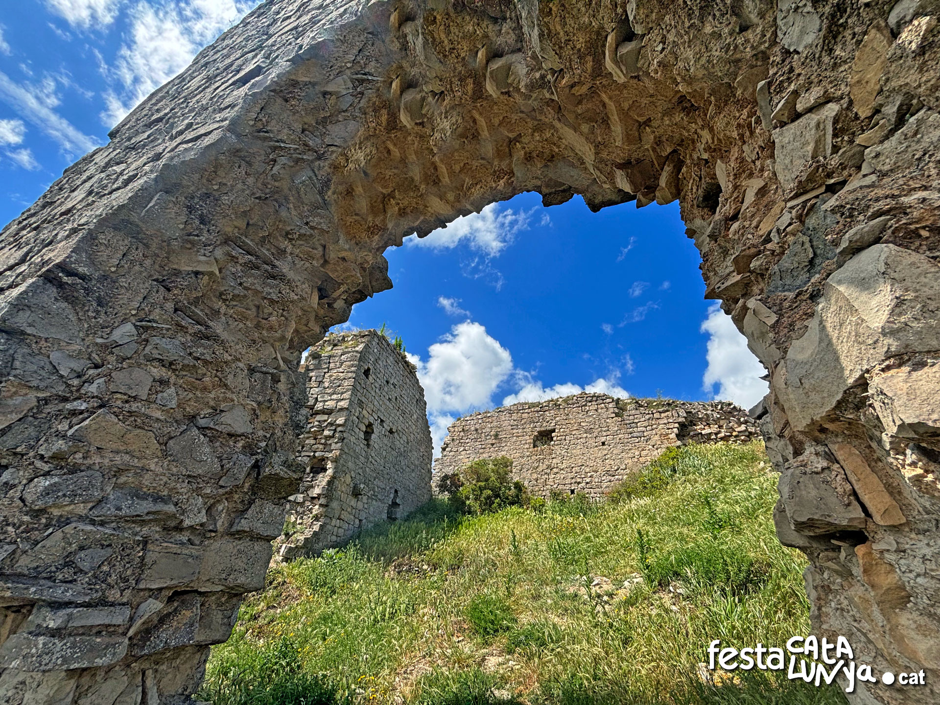 Montoliu de Segarra - Castell de la Guàrdia Lada