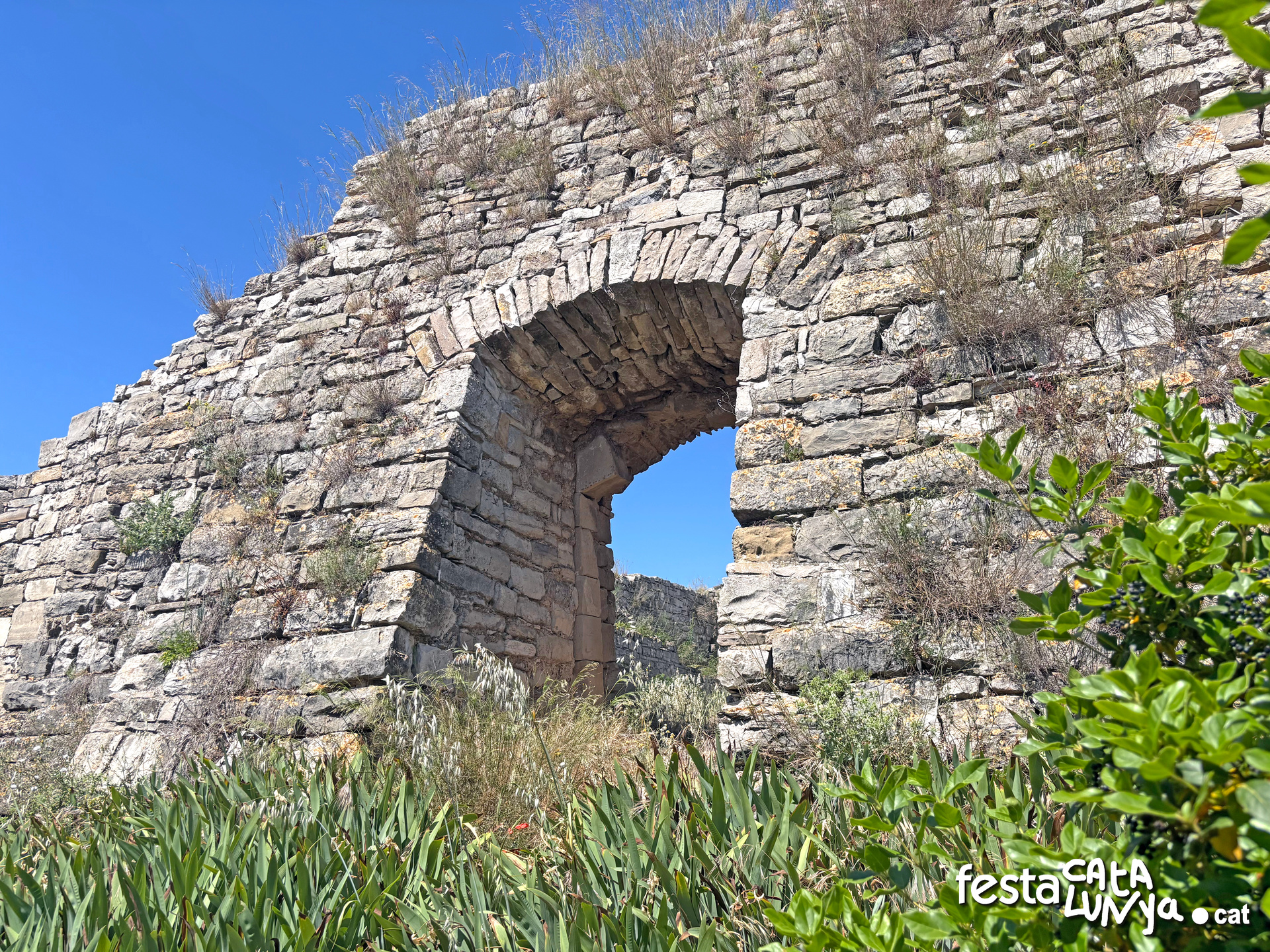 Castell de Montoliu de Segarra