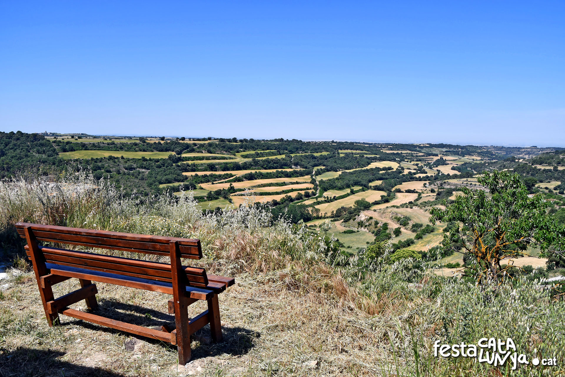 Montoliu de Segarra - Vistes panoràmiques des del castell de Montoliu de Segarra