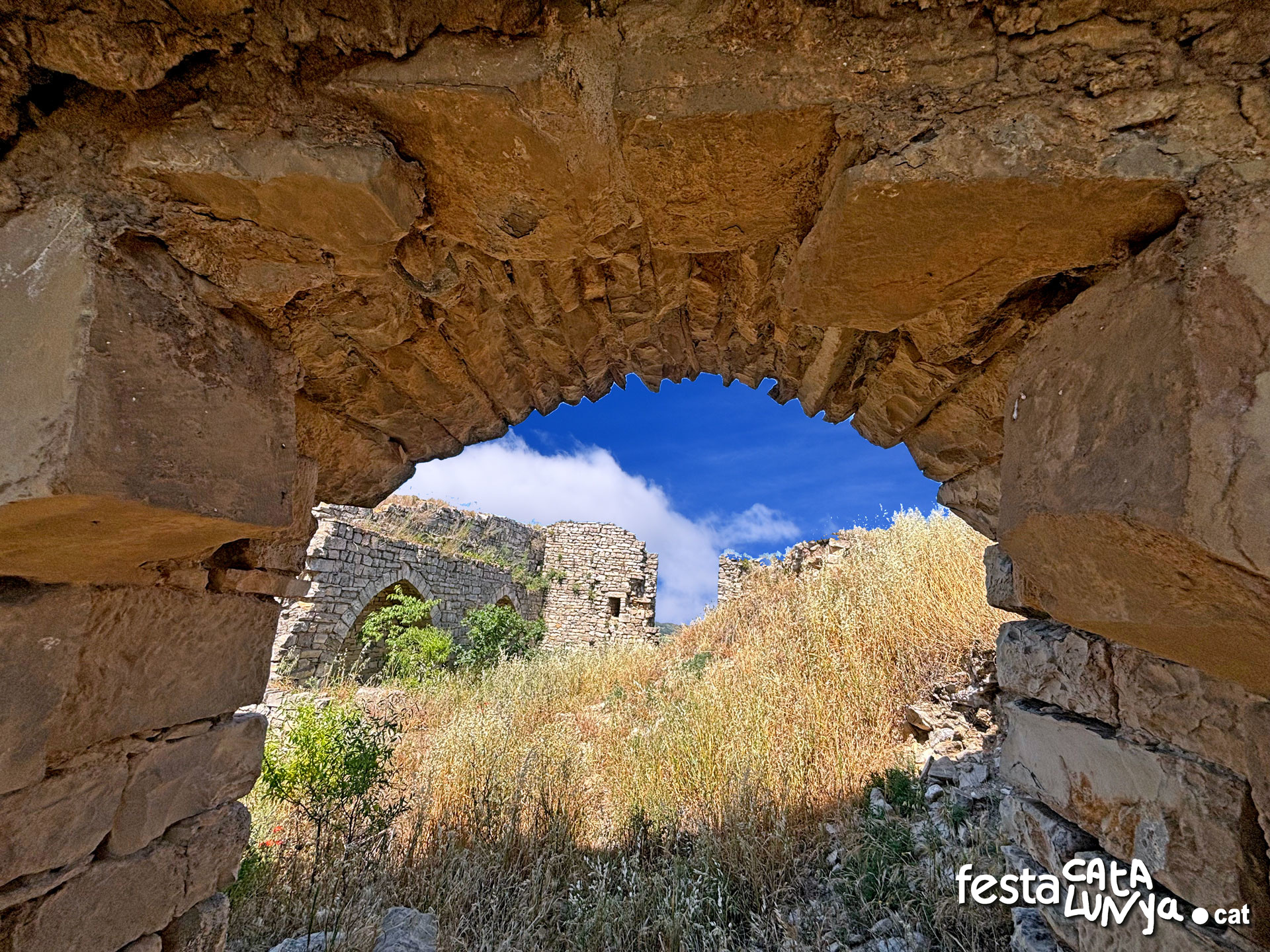 Montoliu de Segarra - Castell de Montoliu de Segarra