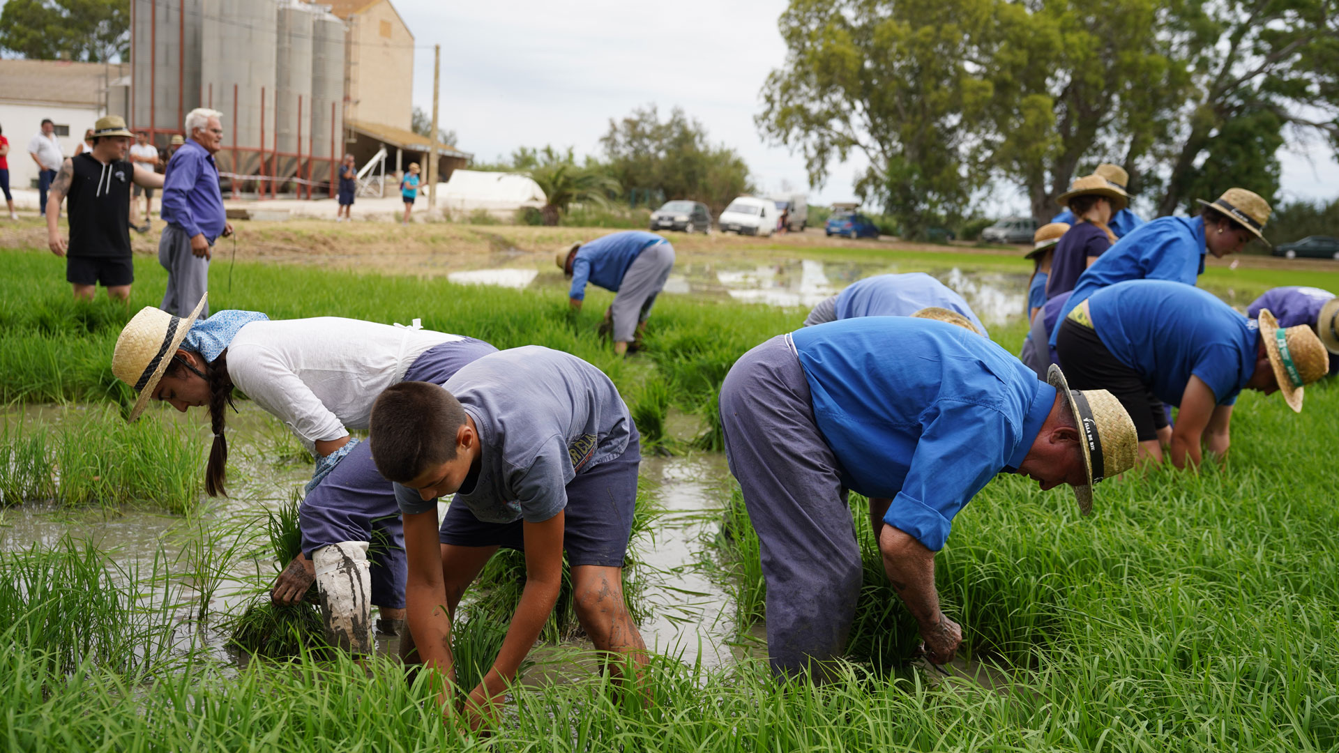 Sant Jaume d'Enveja - La Plantada (Foto: Ajuntament)