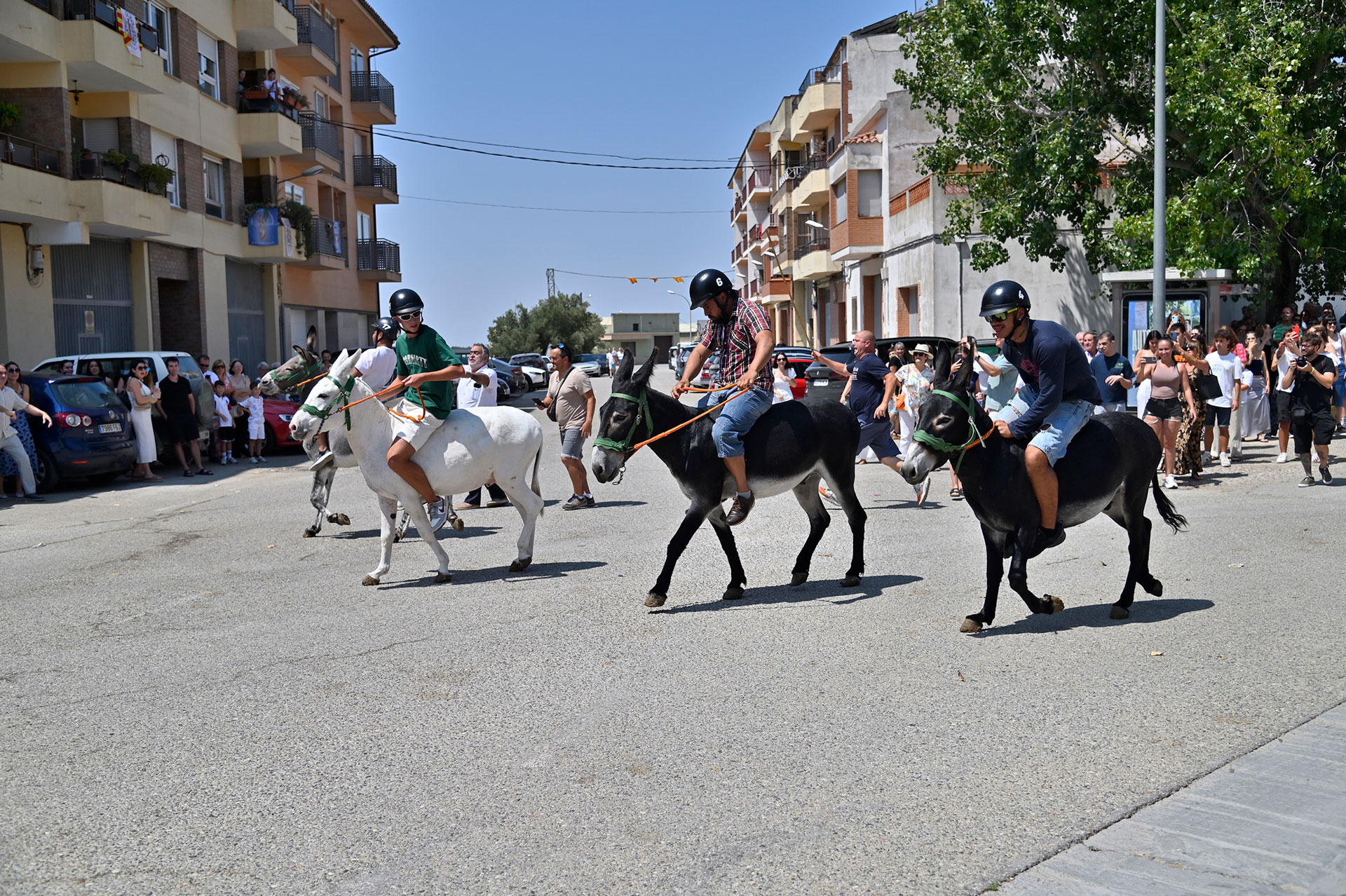 La Fatarella - Festes Majors d'estiu (Foto: Ajuntament)