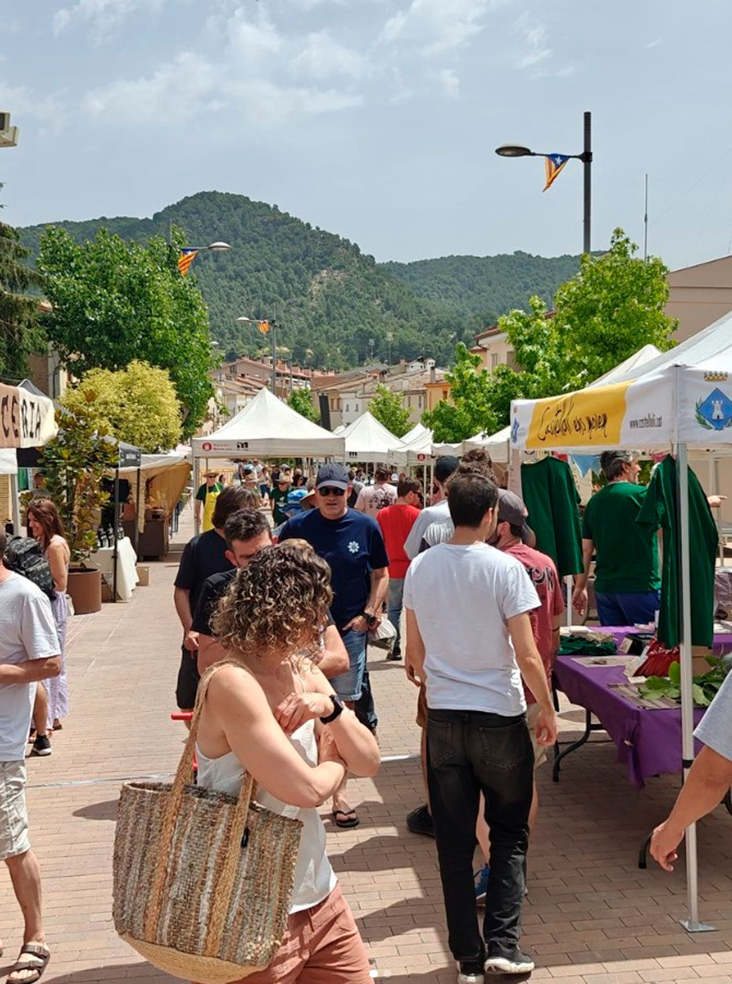 Ratafira, Fira de la Ratafia - Castellolí (Foto: Ajuntament)