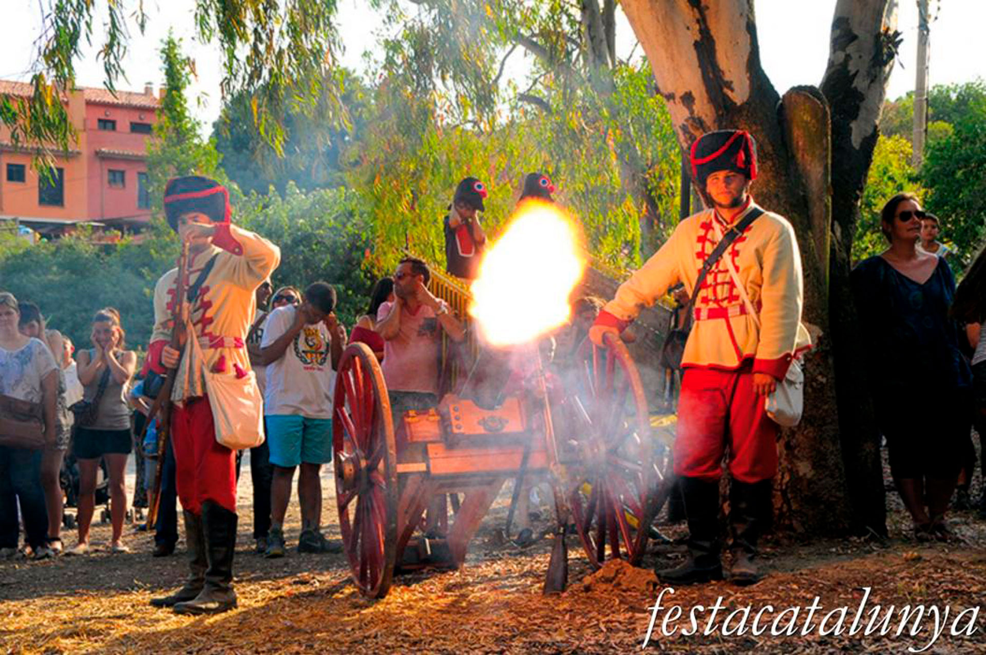 Festa del Timbaler del Bruc, la Fira de la Guerra del Francès