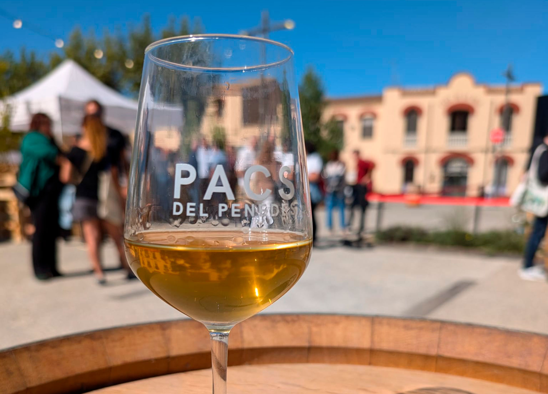 Festa de la Verema de Pacs del Penedès